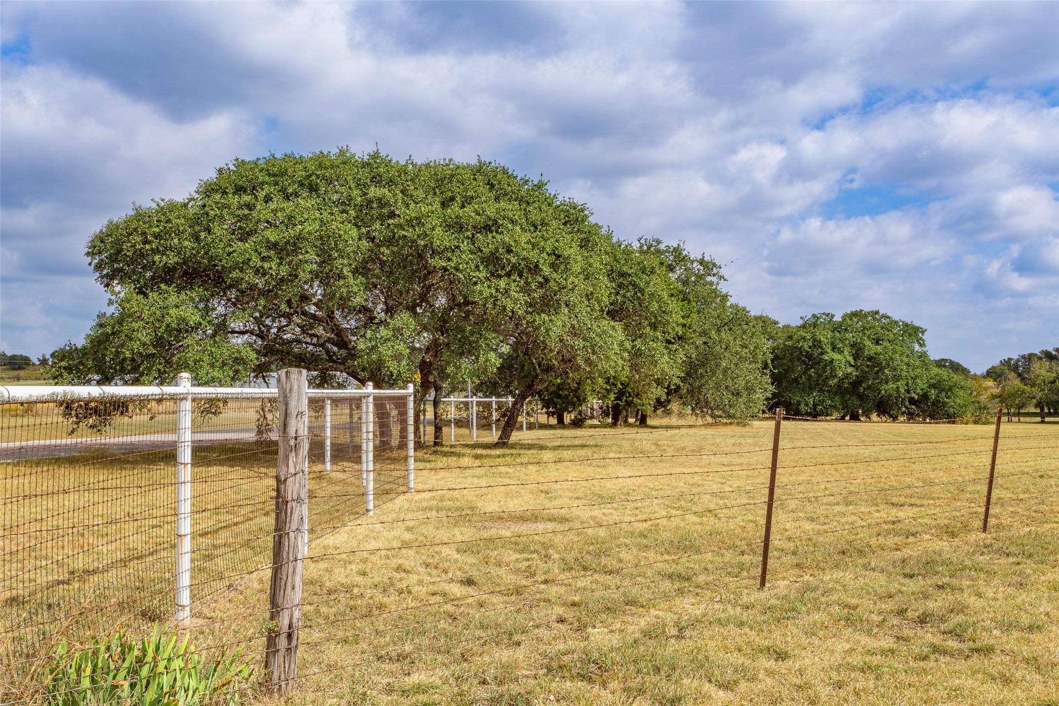 1616 County Road 3240