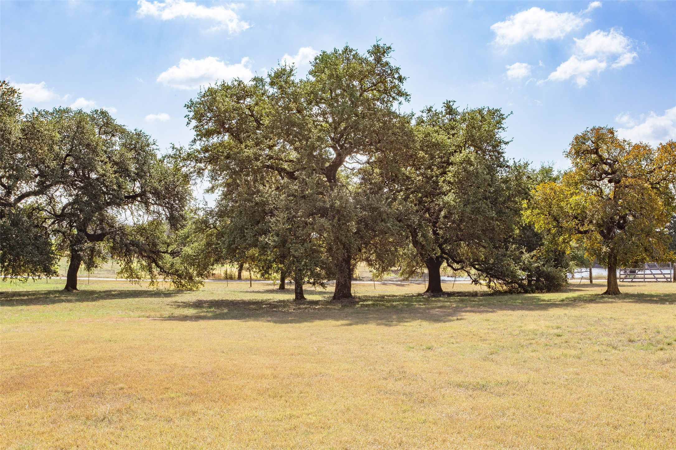 1616 County Road 3240