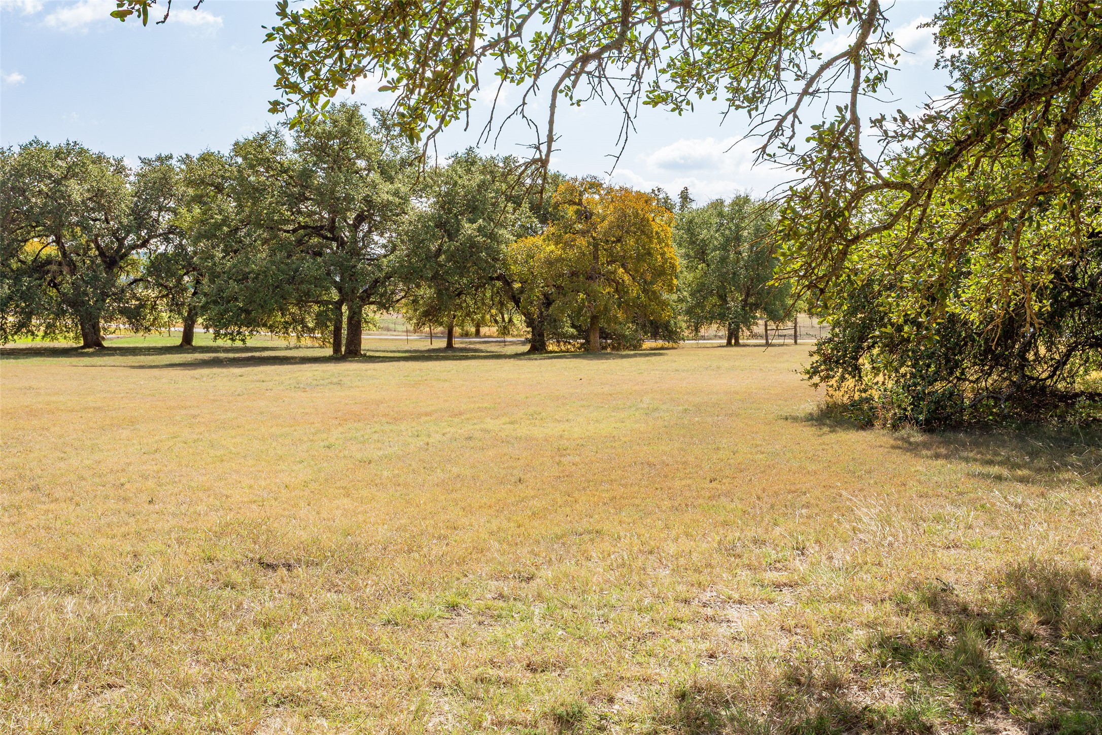 1616 County Road 3240