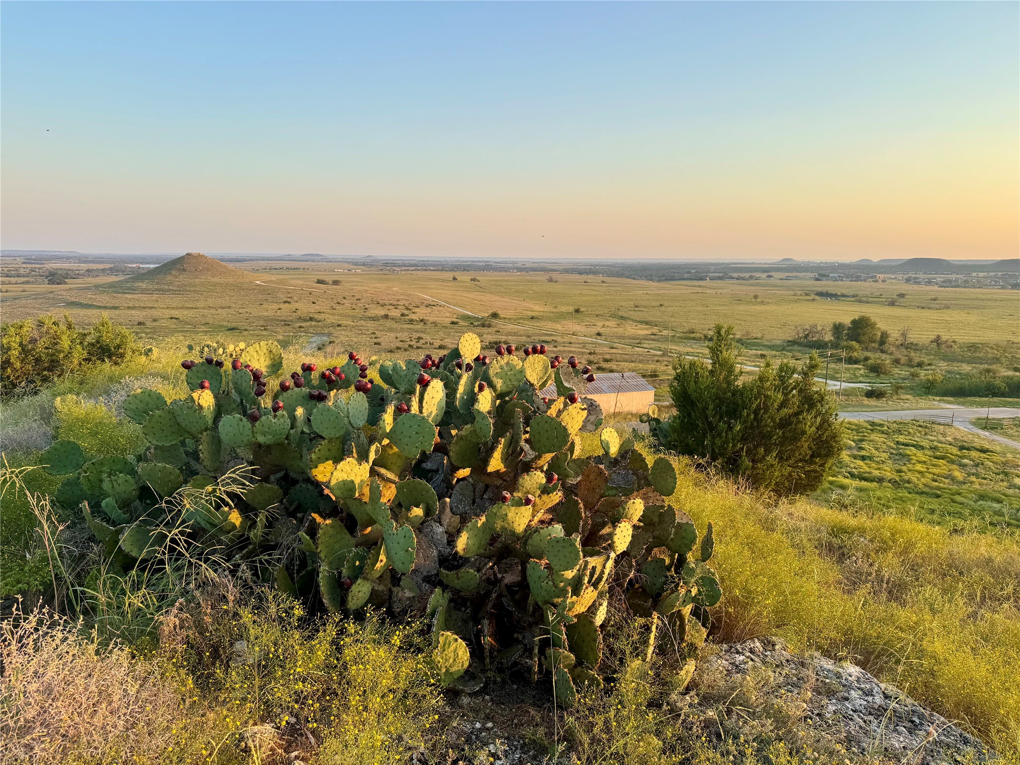 2626 County Road 2015