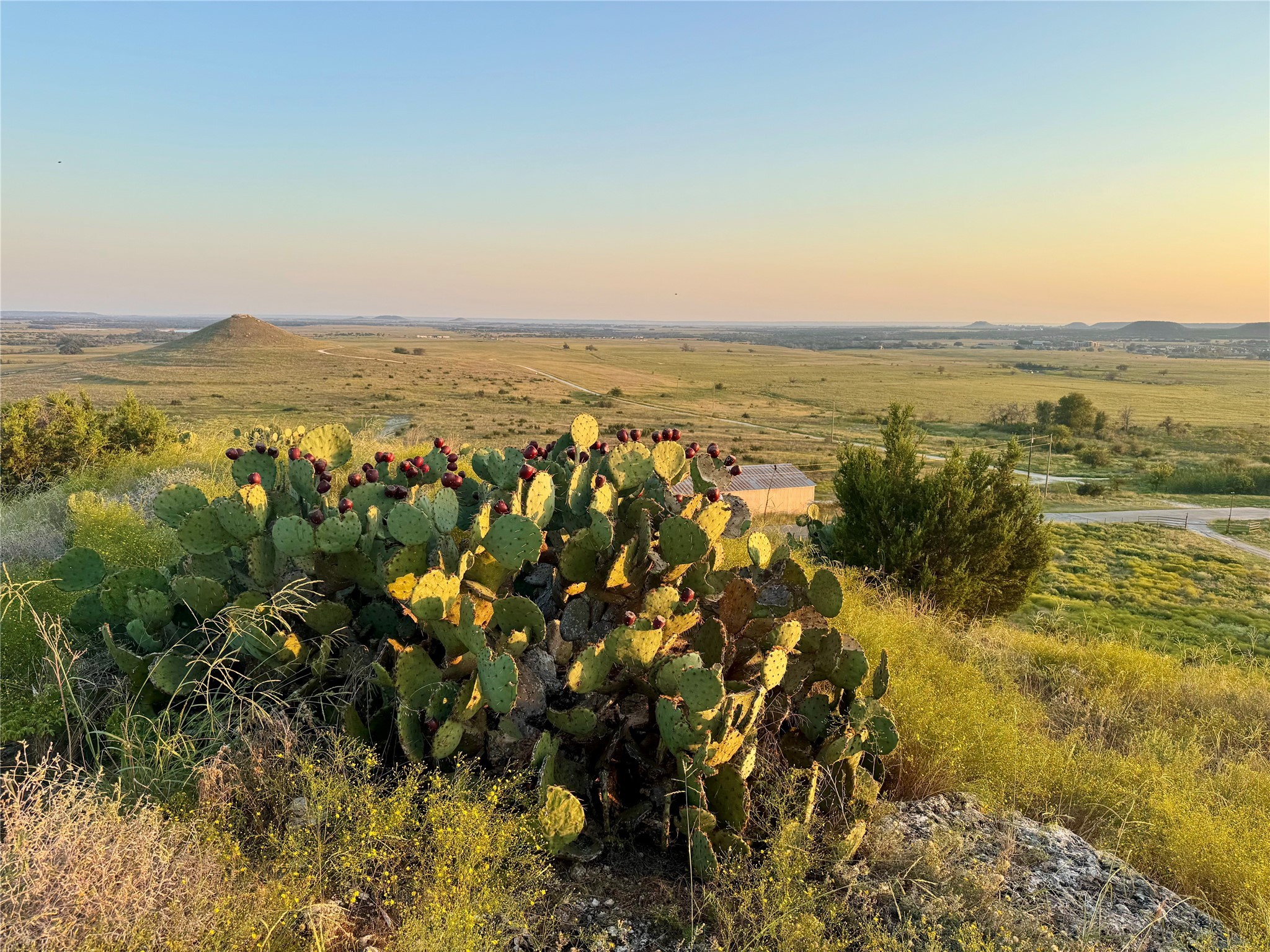 2626 County Road 2015