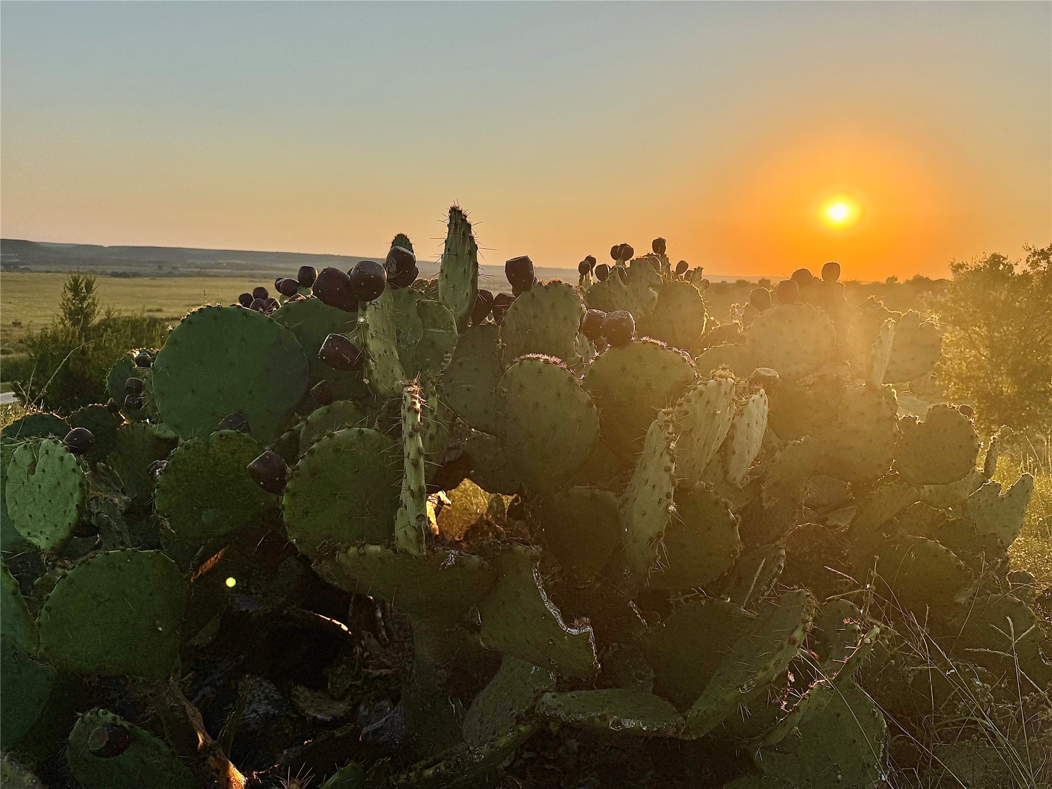 2626 County Road 2015