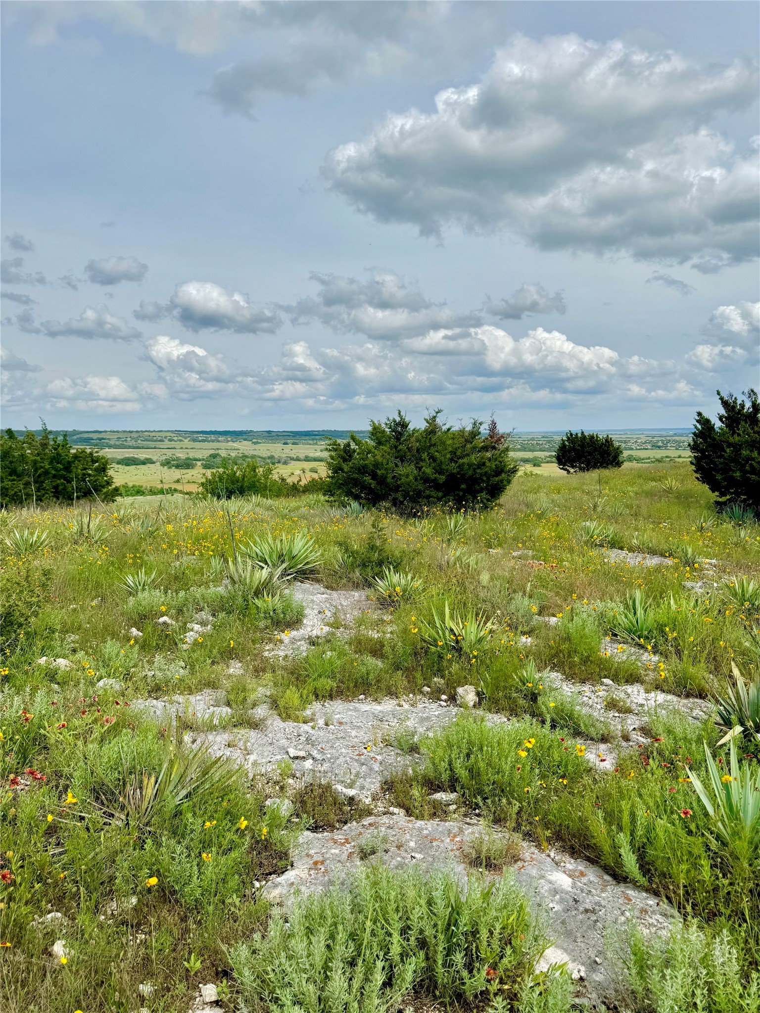 2626 County Road 2015