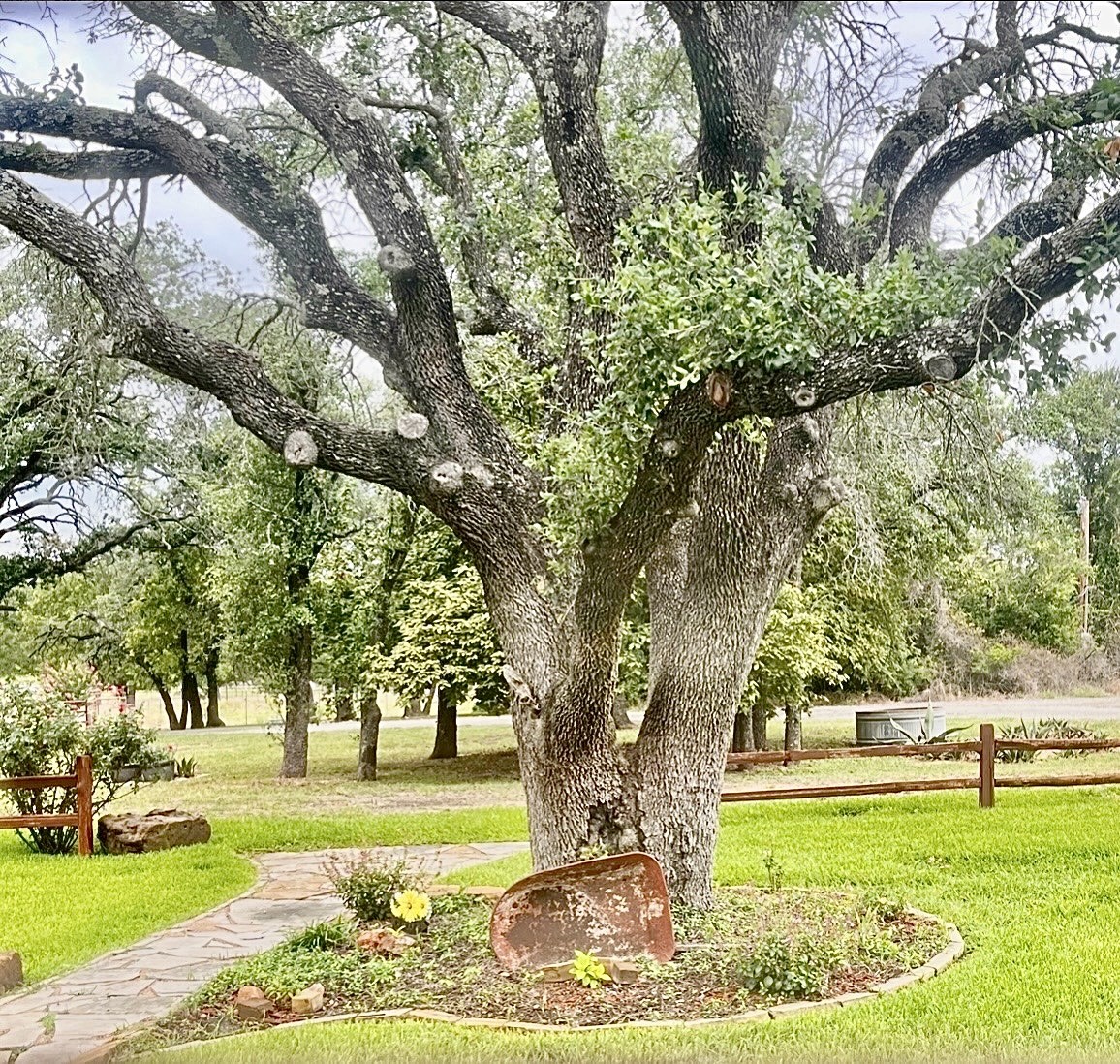 1592 N US Highway 281