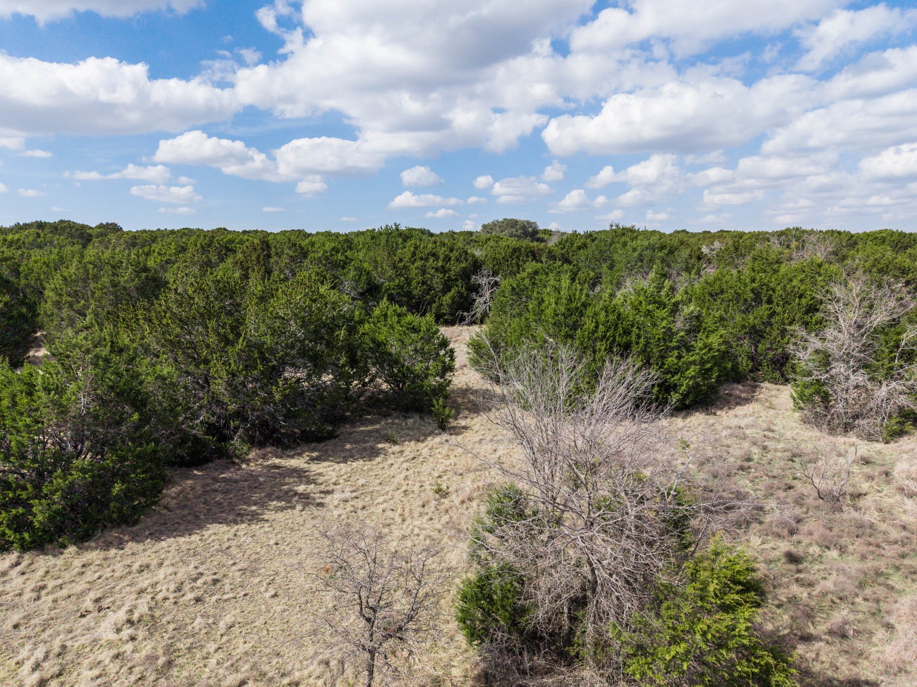 TBD N US Highway 281