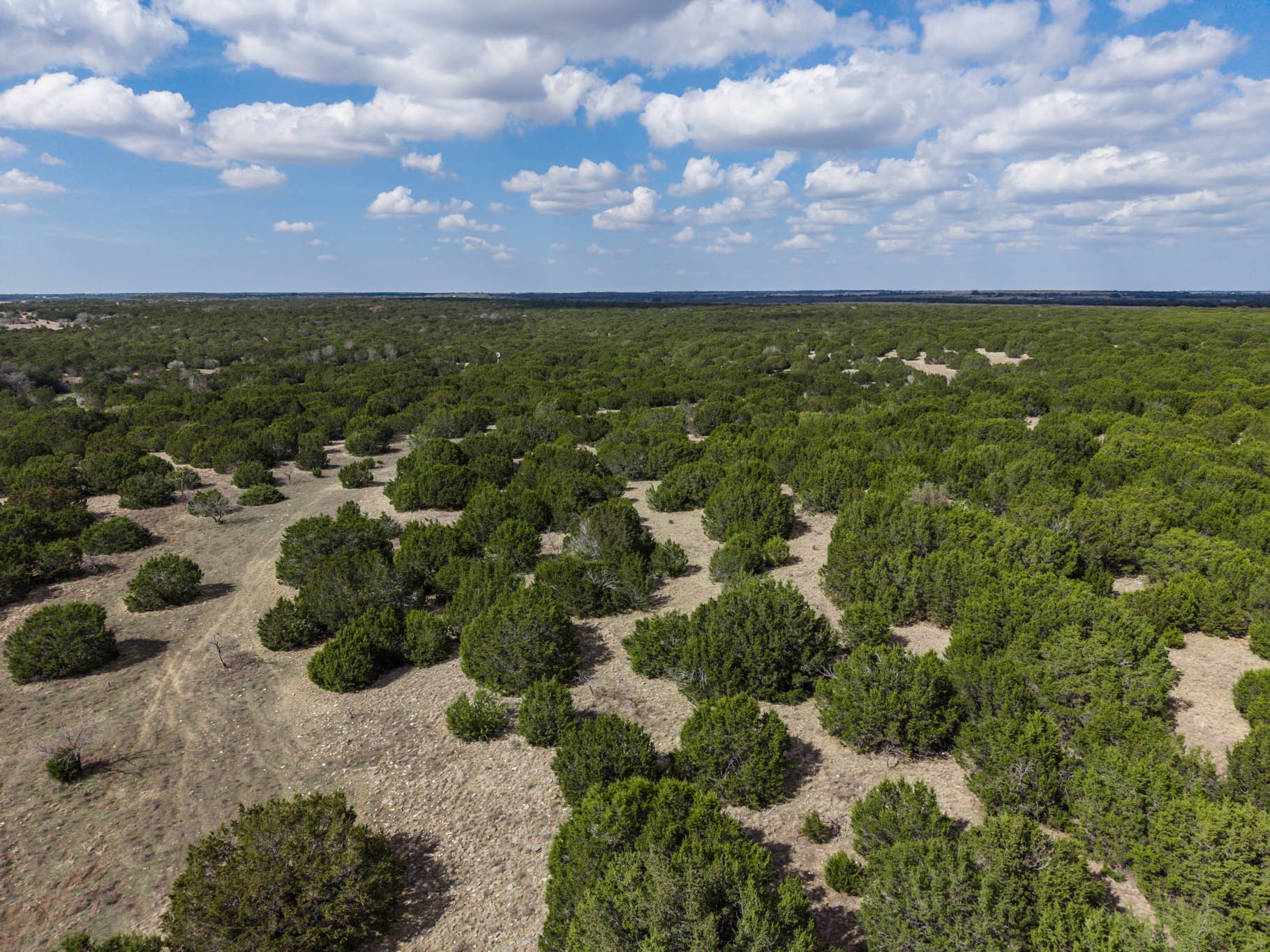 TBD N US Highway 281