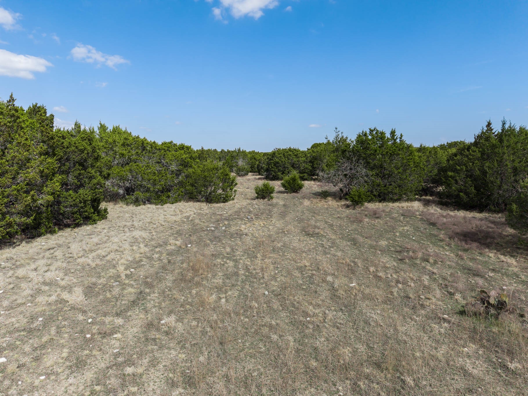 TBD N US Highway 281