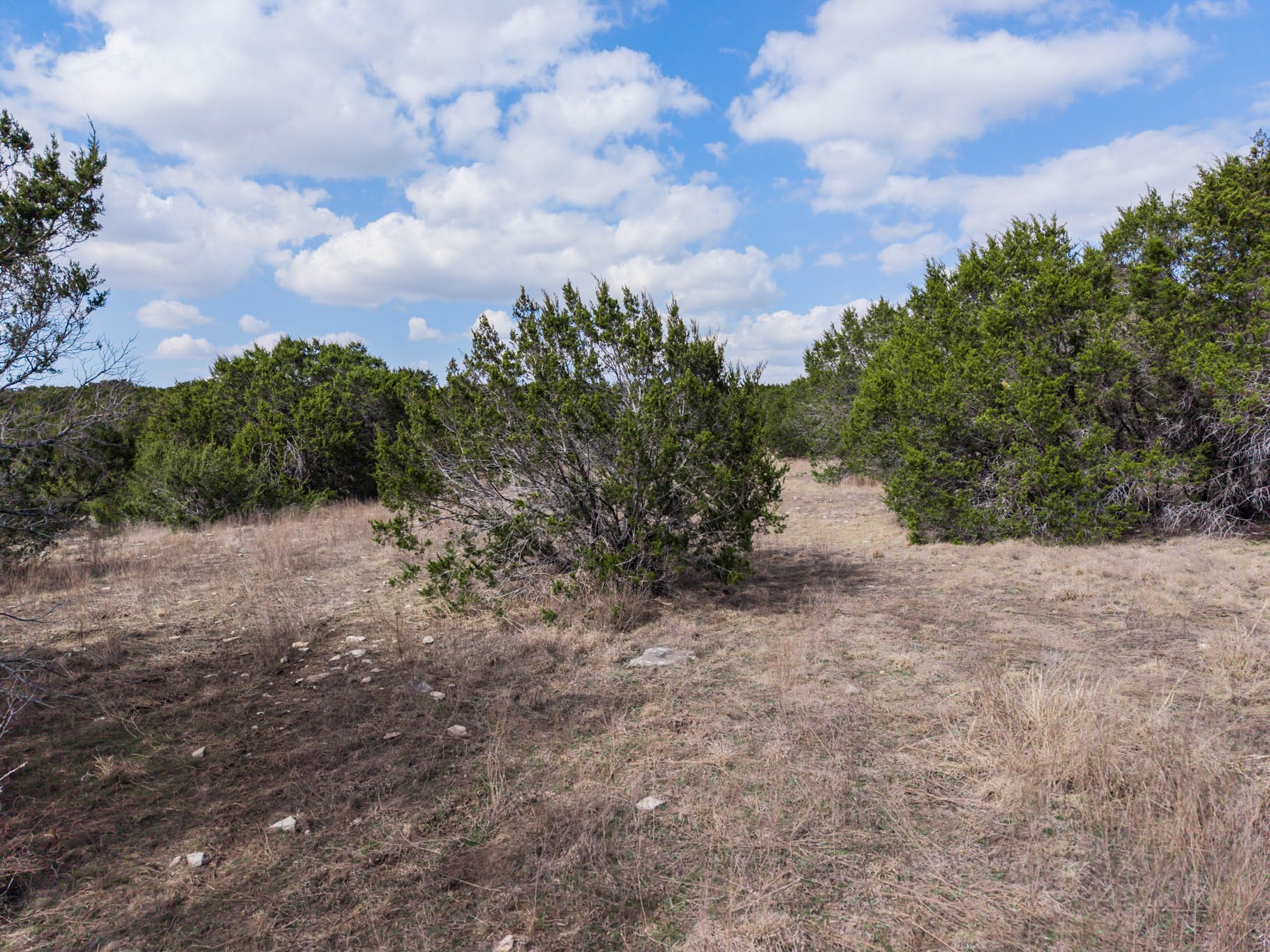 TBD N US Highway 281