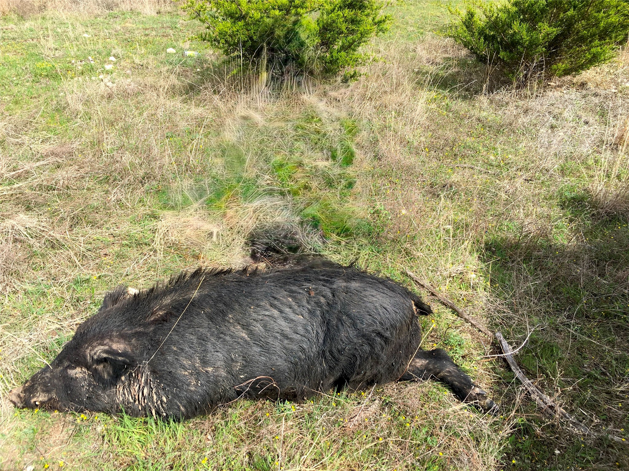 88.45 ac. TBD CR 3550 Road