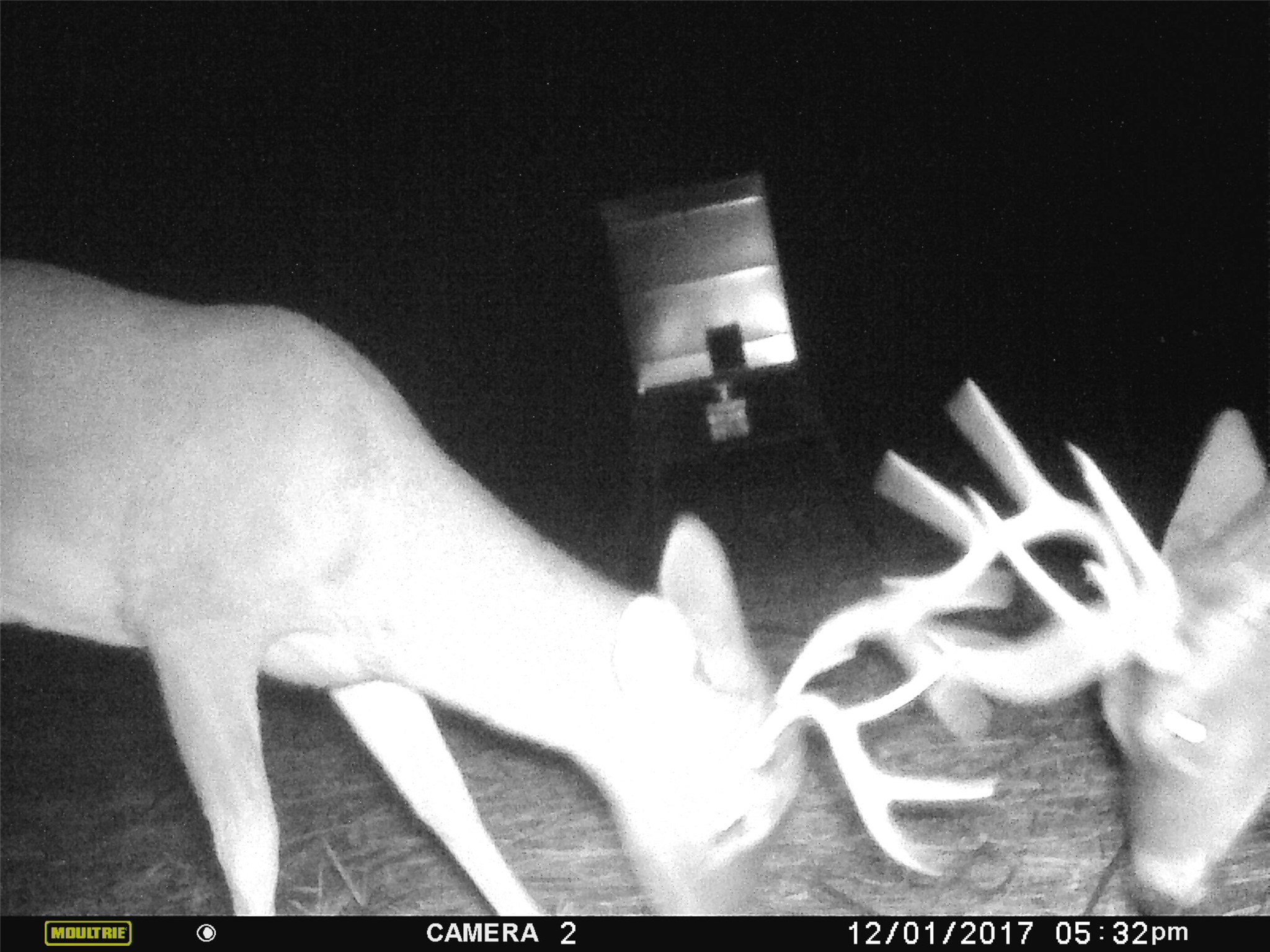 77.21 ac. TBD CR 3550 Road