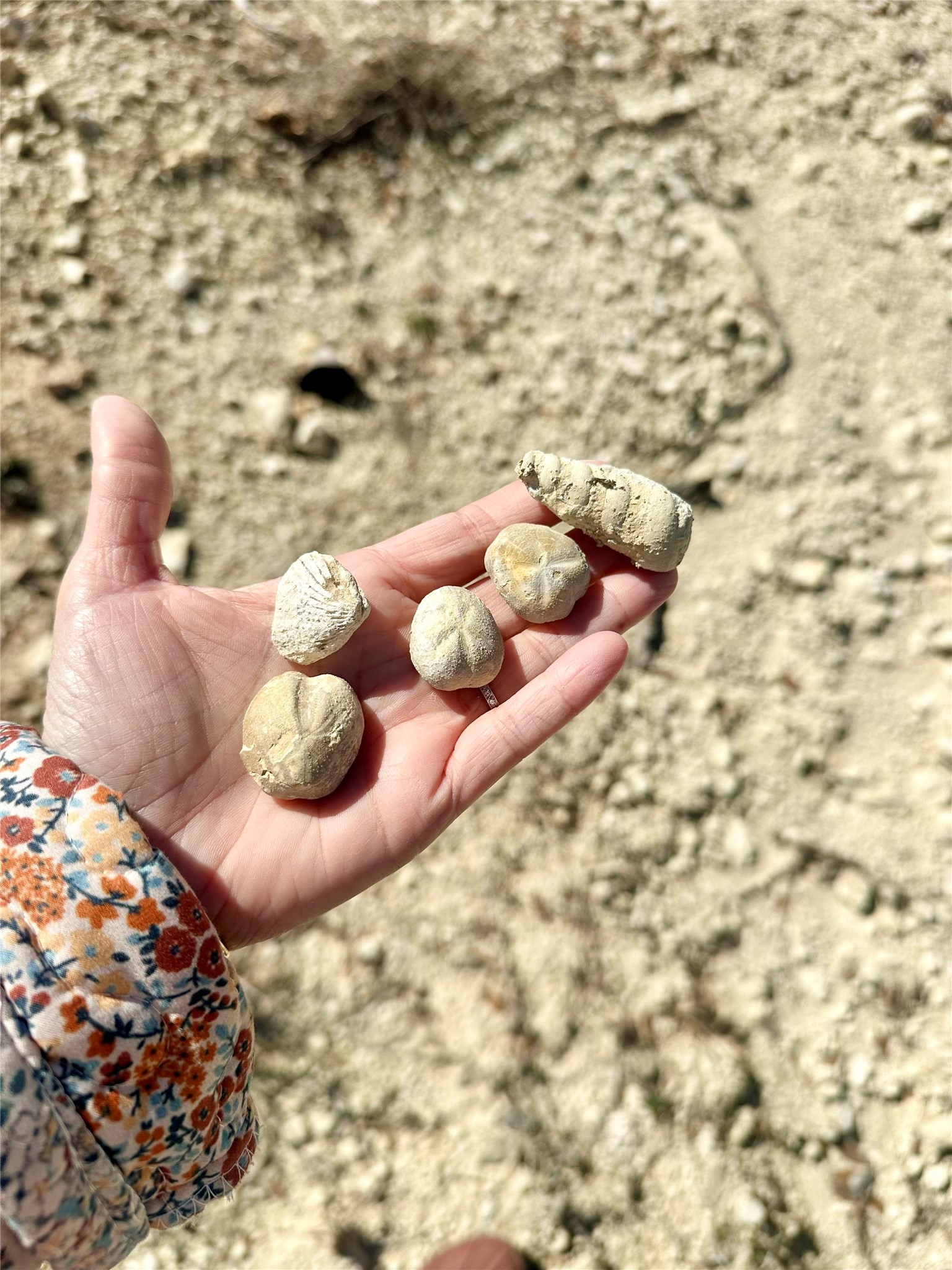 16290 E State Highway 22