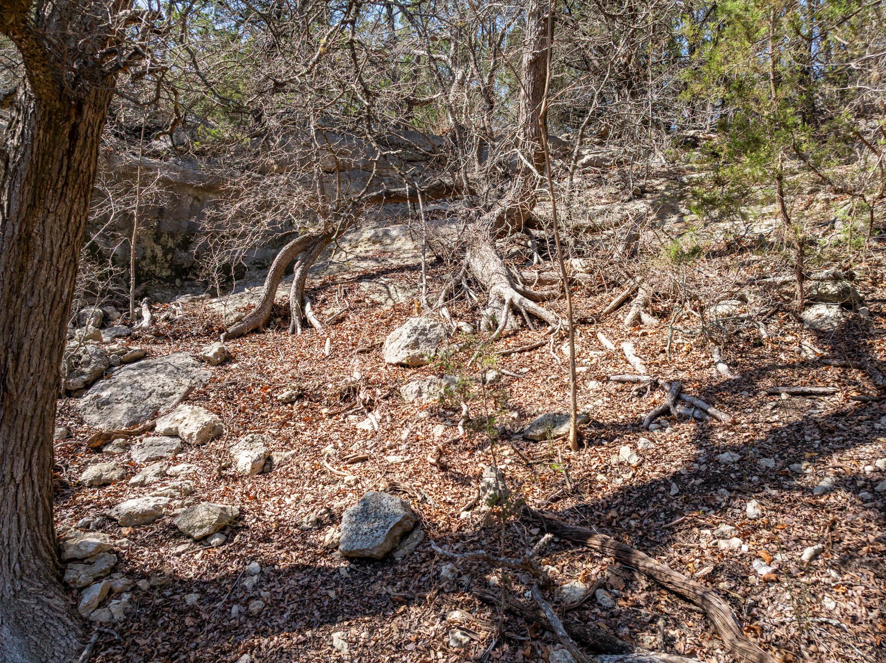 16290 E State Highway 22