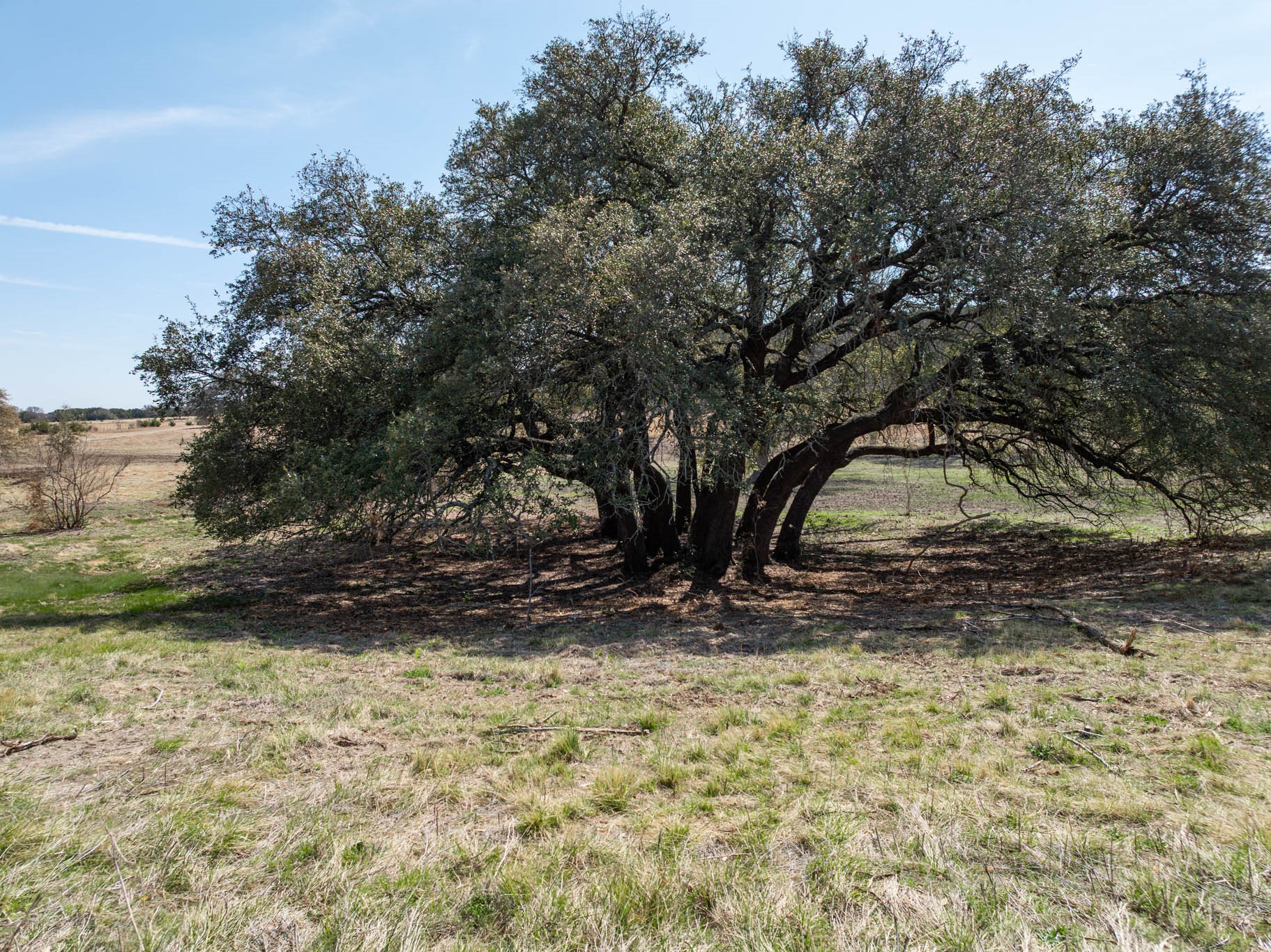 16290 E State Highway 22