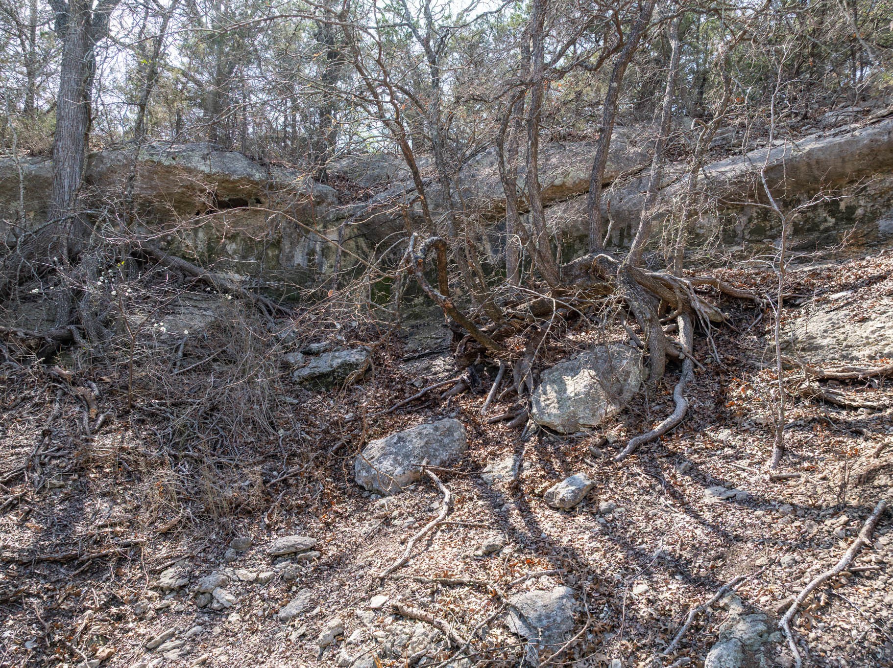 16290 E State Highway 22