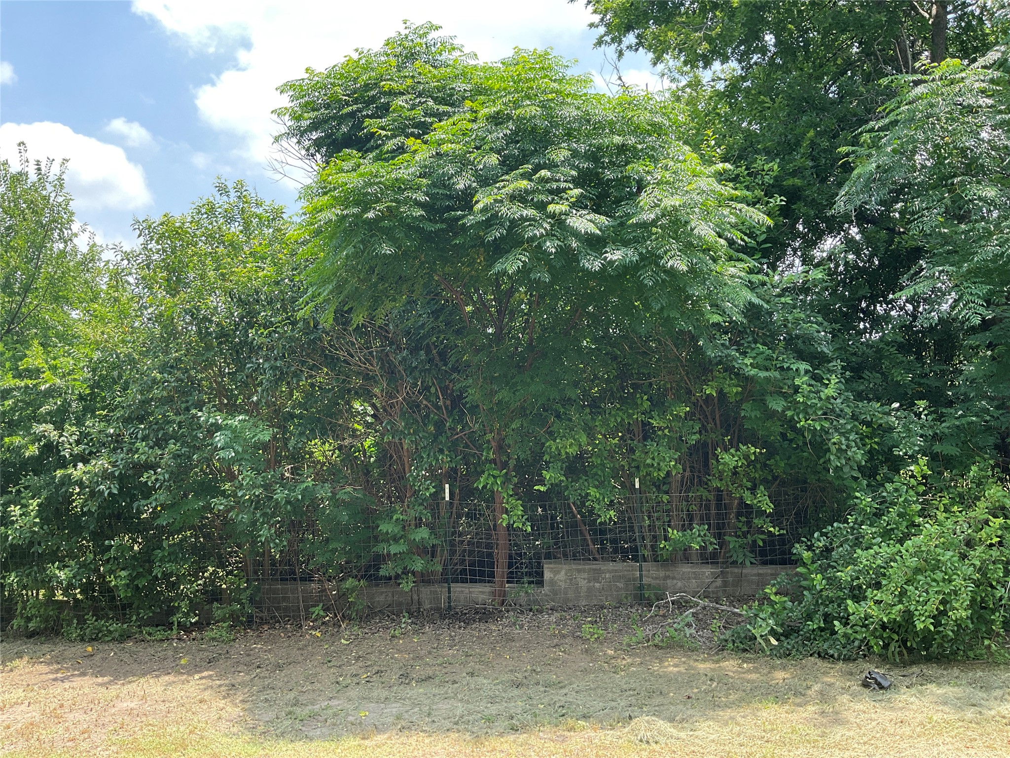 508 N 1st Street