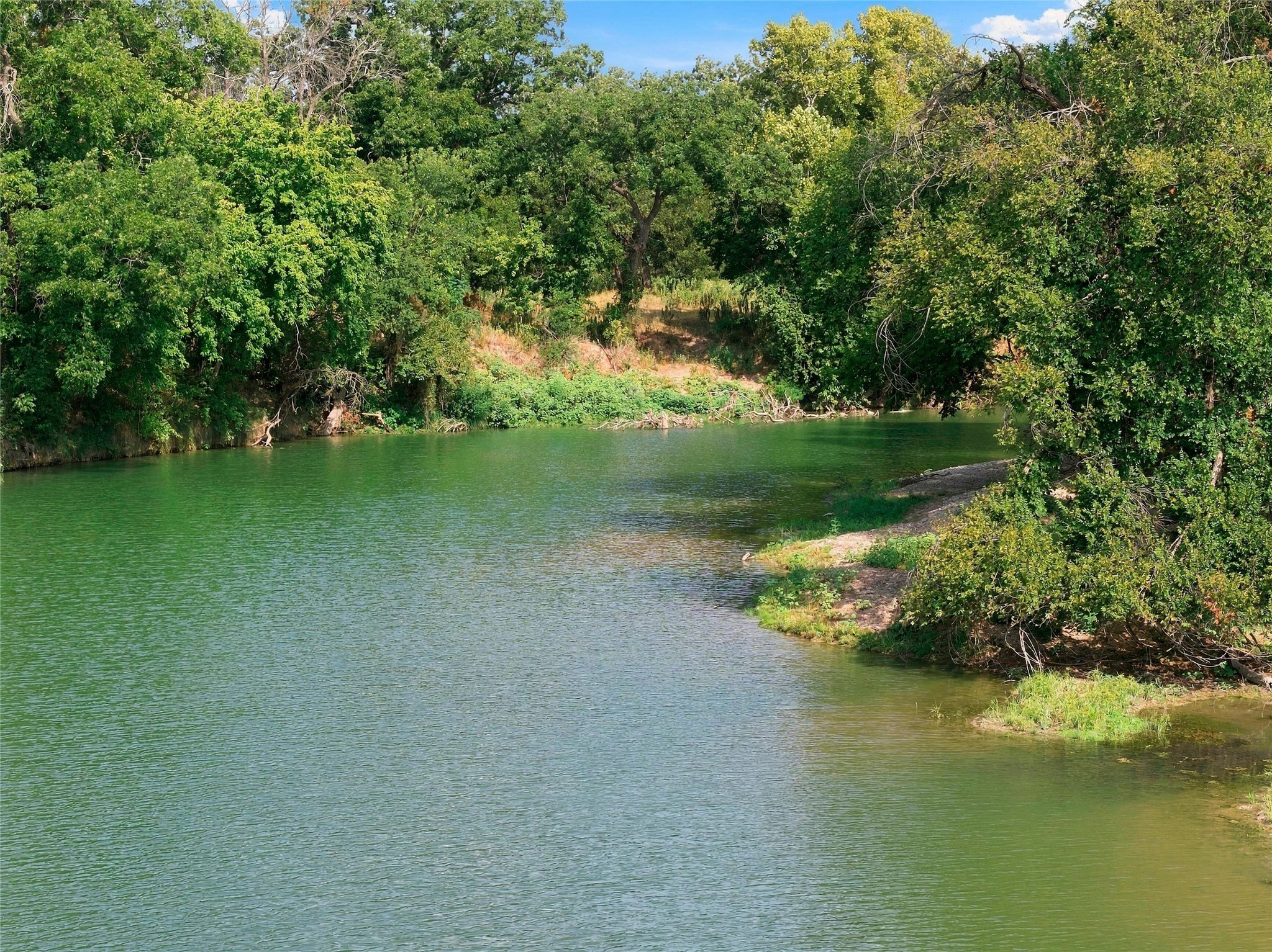 River bordered by dense trees, with a sandy bank and fallen branches.
