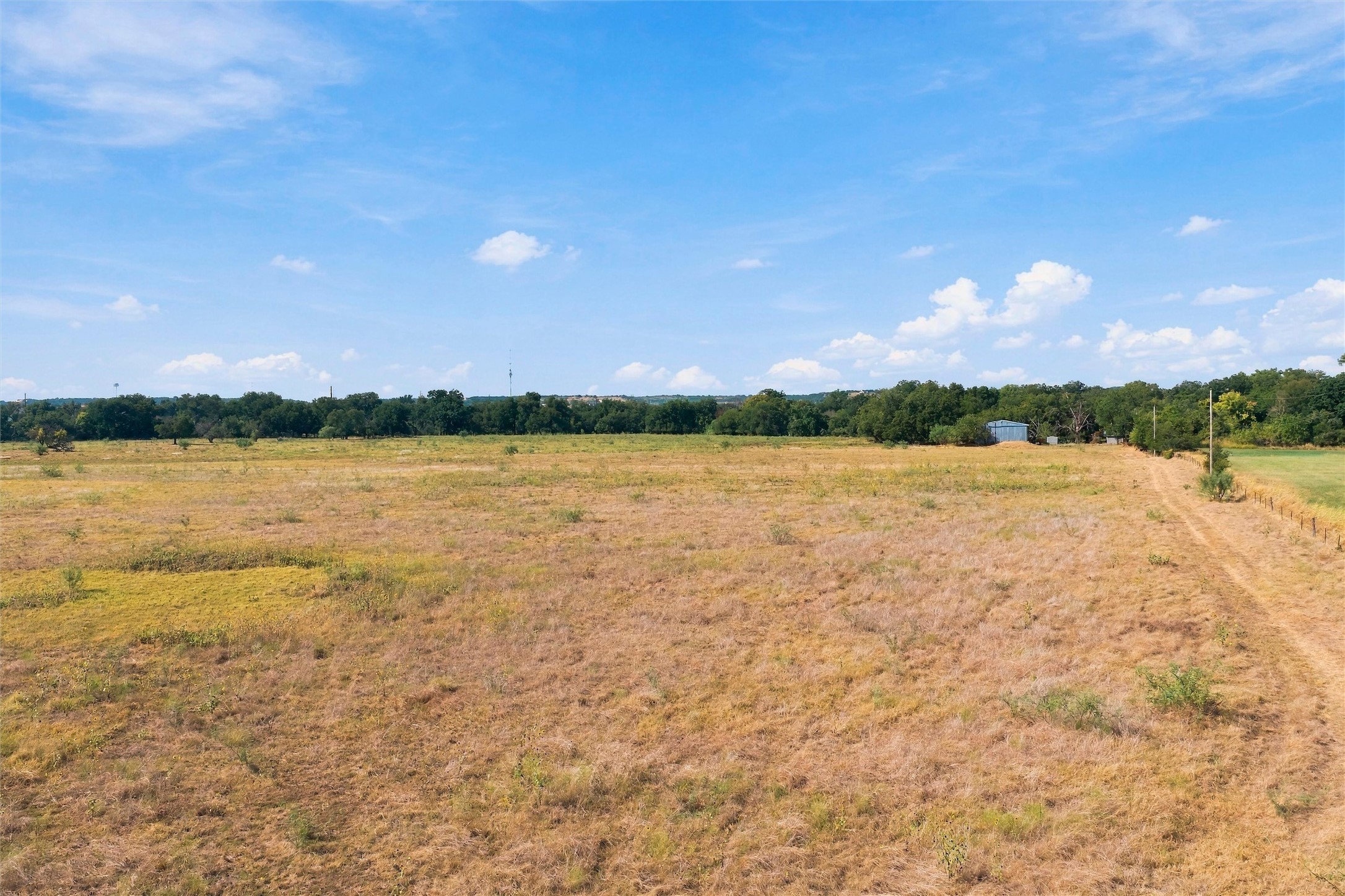Open dry pasture with a dirt track, small metal shed, and tree line in the distance.