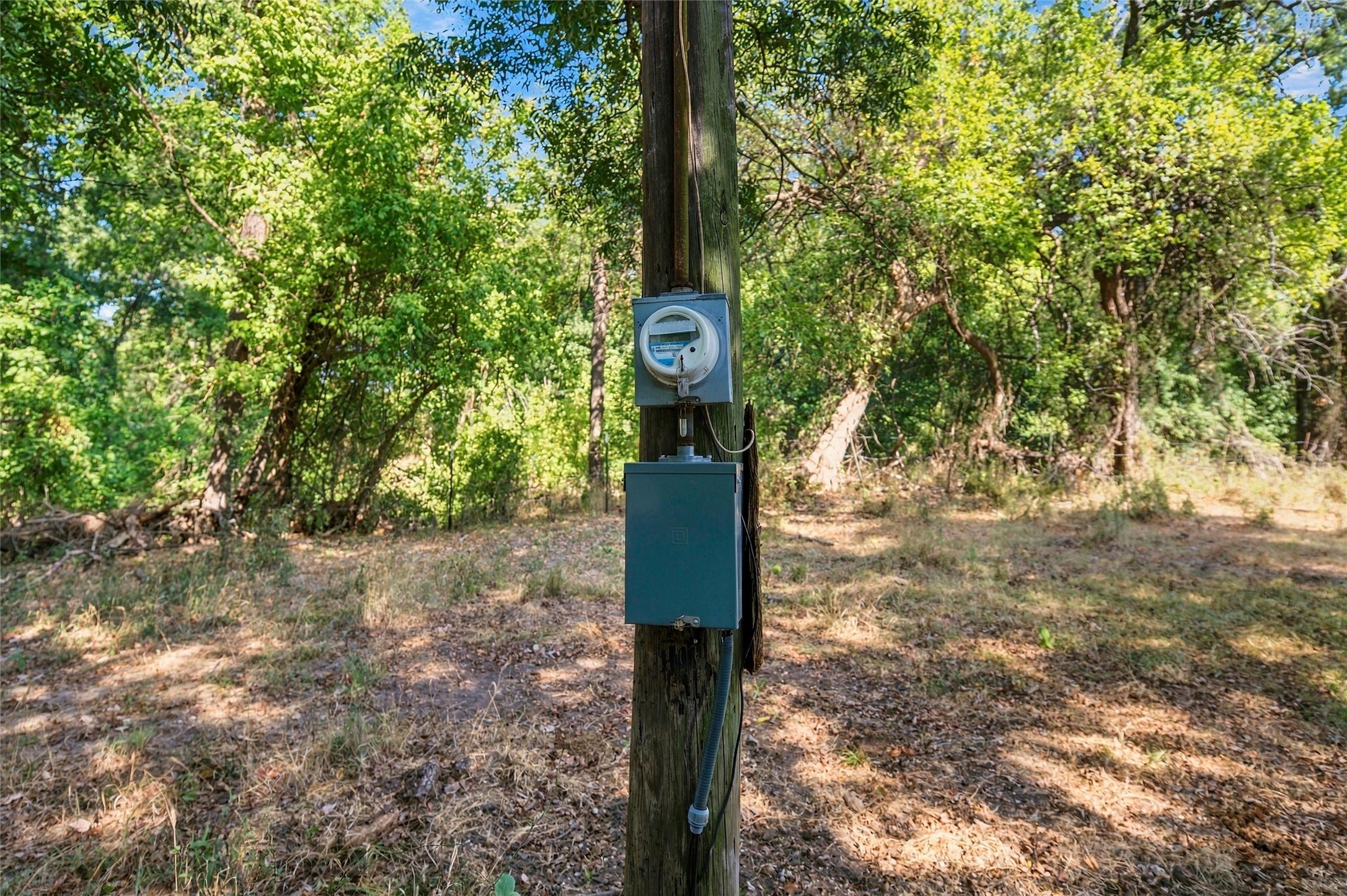 Electric meter and service panel on a utility pole in a wooded clearing.