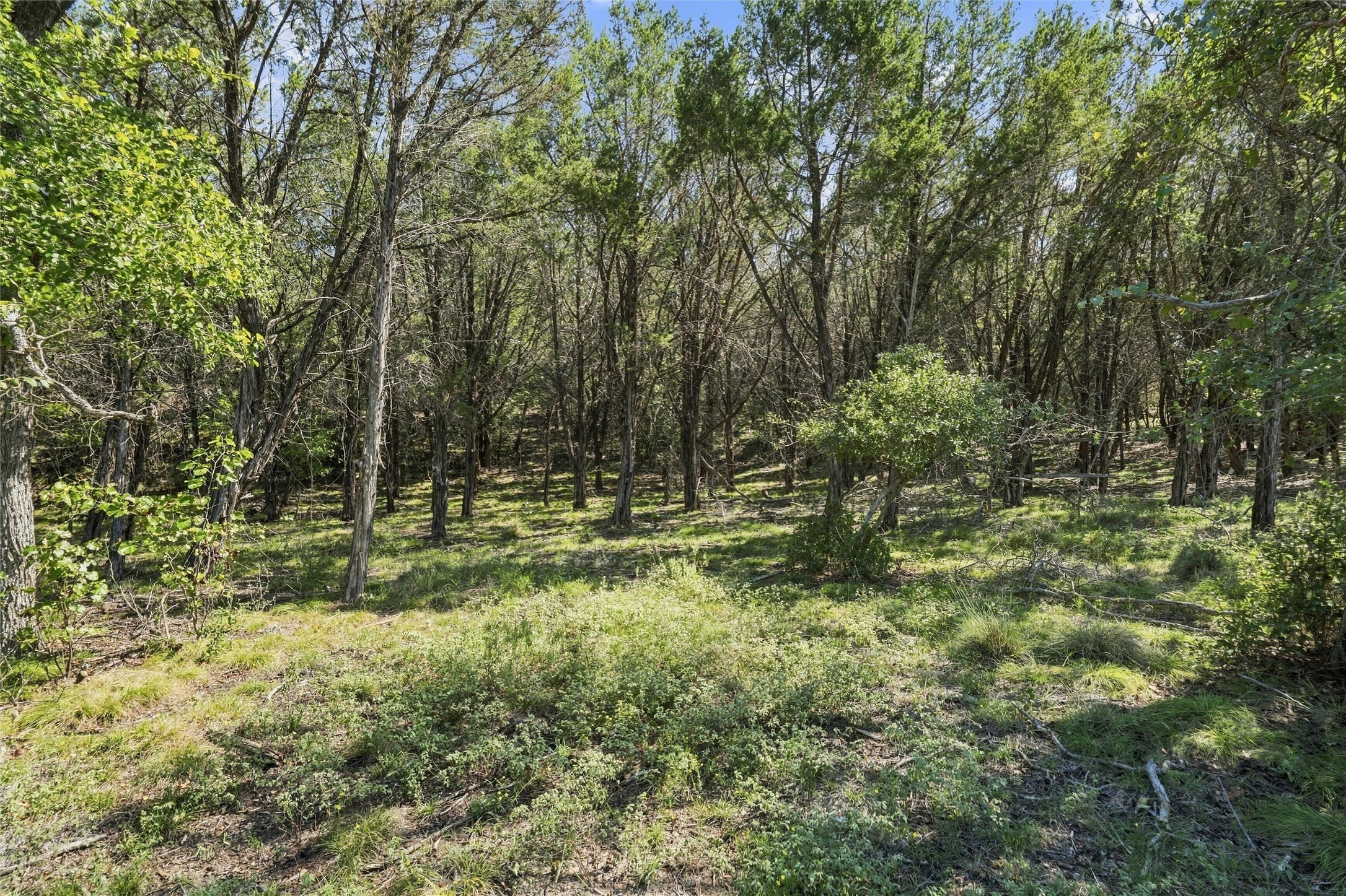 473 County Road 210