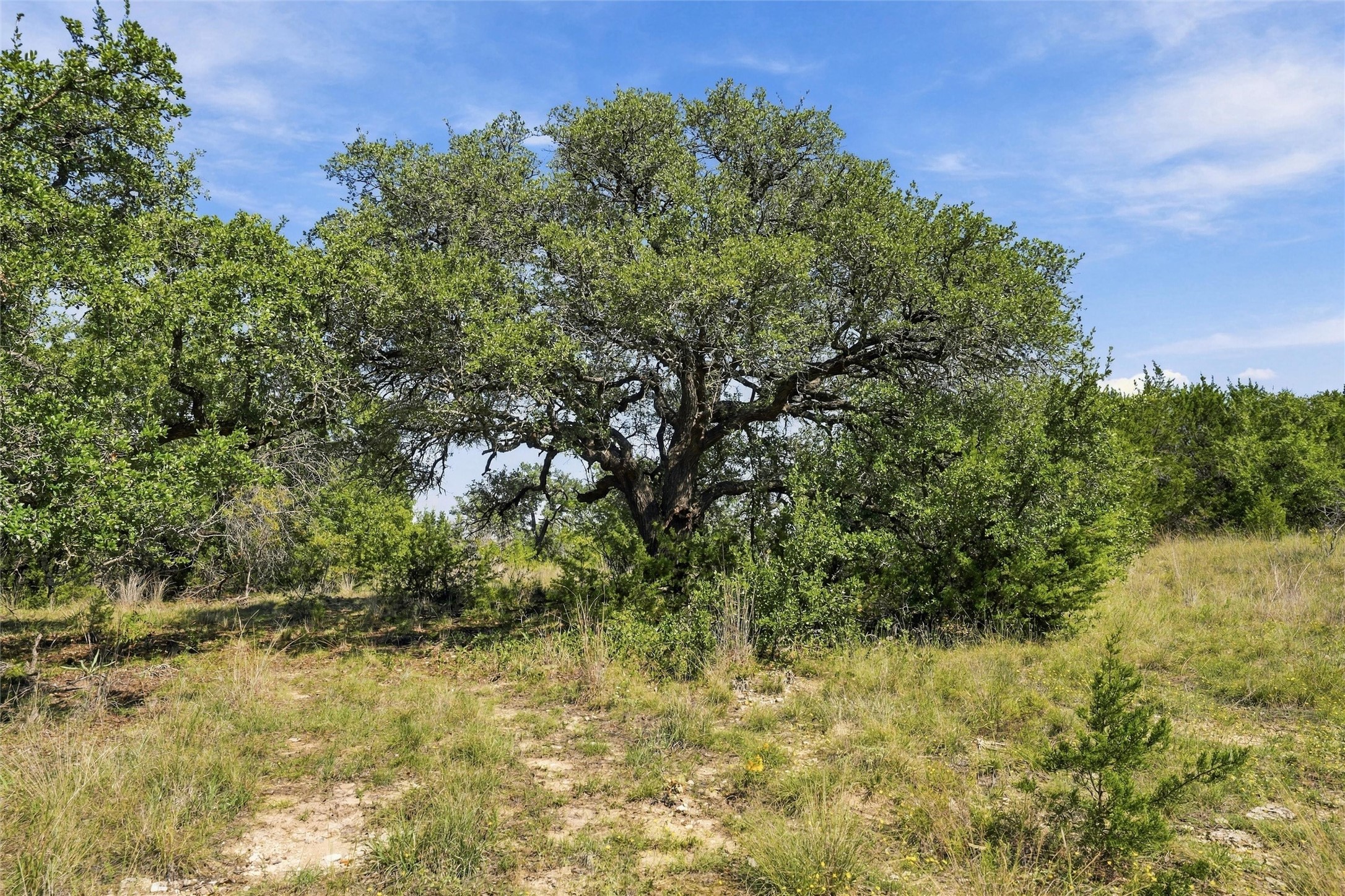 473 County Road 210