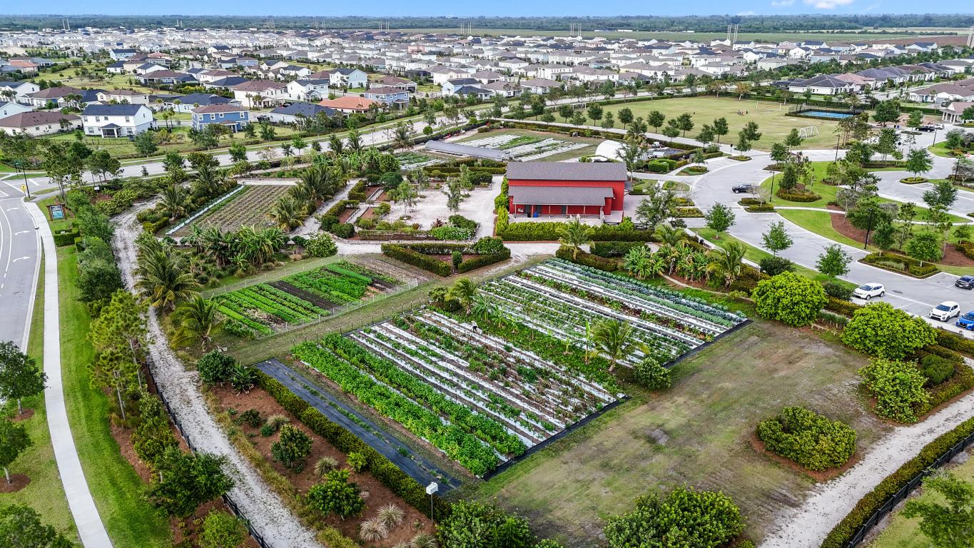 19545 Broad Shore Walk, Loxahatchee