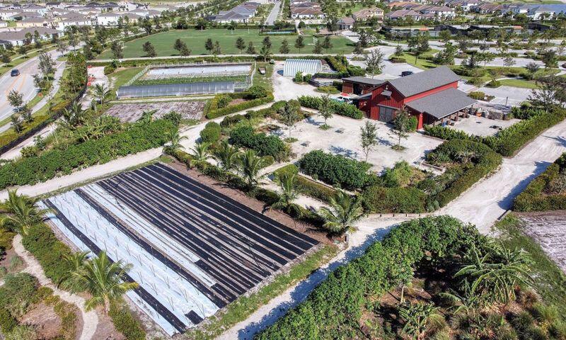 Acreage property with a red-roofed building, greenhouses, and long planting beds