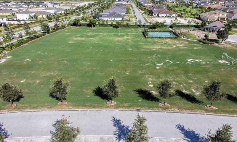 Aerial view of a green field with scattered trees, a soccer goal, and a fenced blue court.