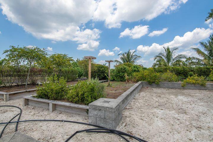 Yard with raised concrete planters, sandy ground, and tropical palms.