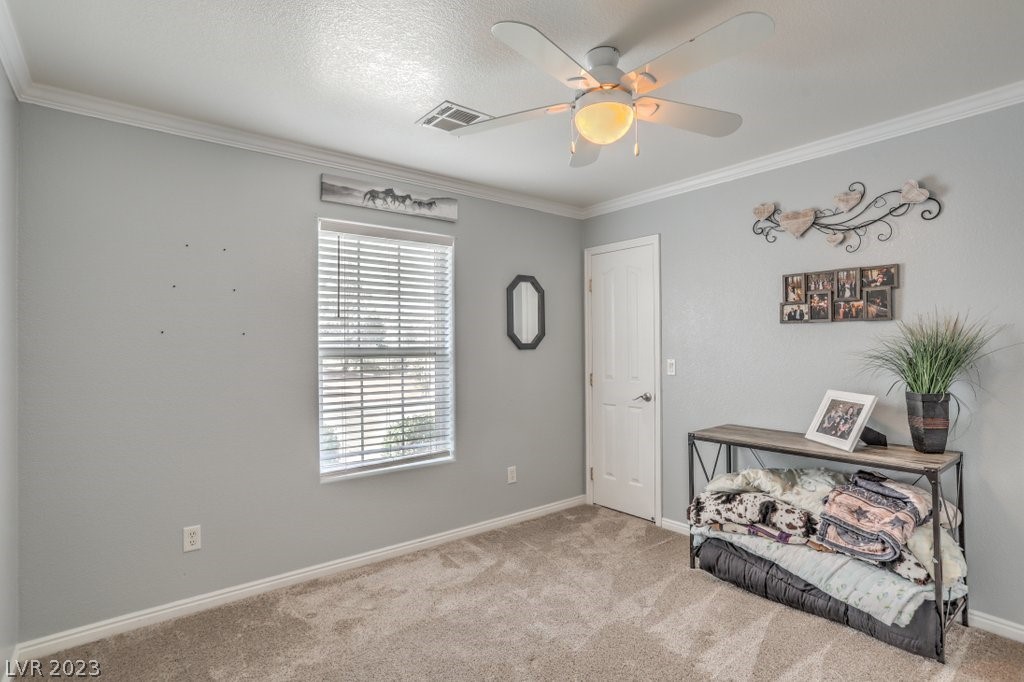 3193 Sheepskin Street