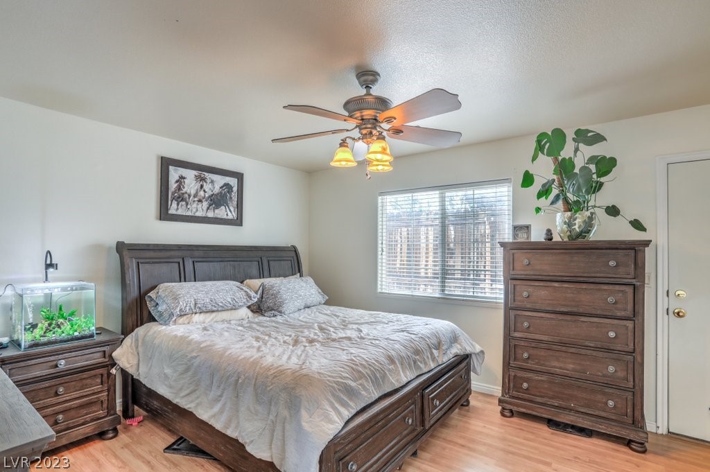 3193 Sheepskin Street