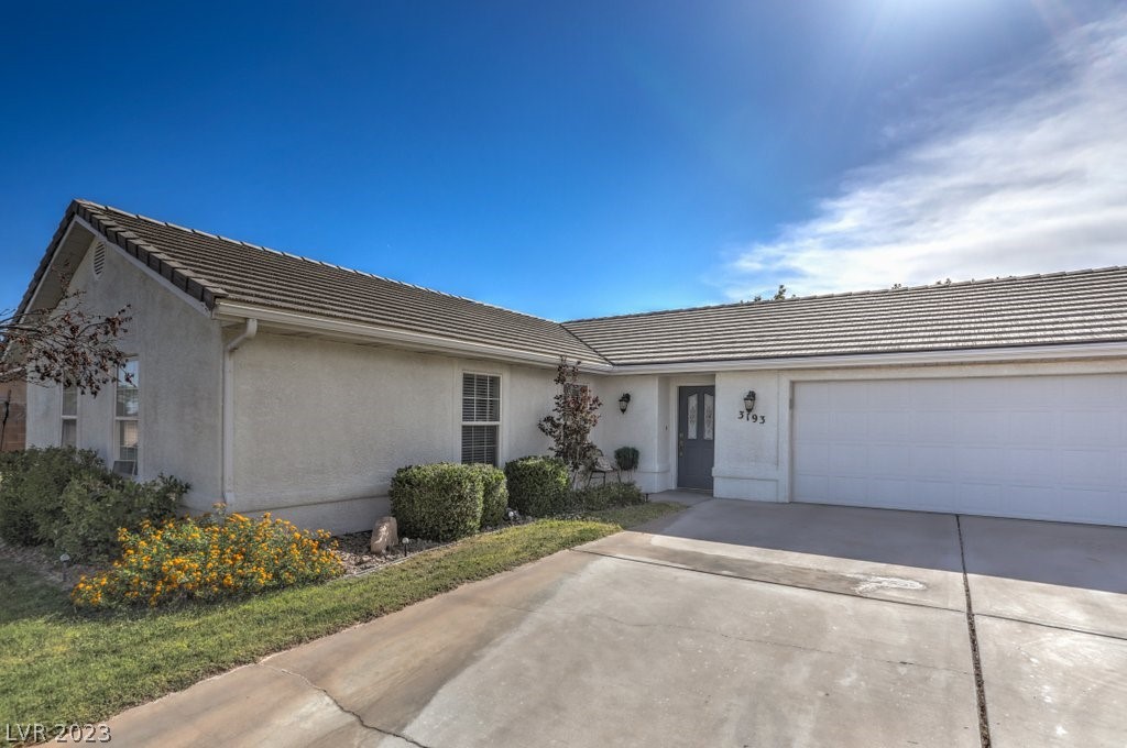 3193 Sheepskin Street