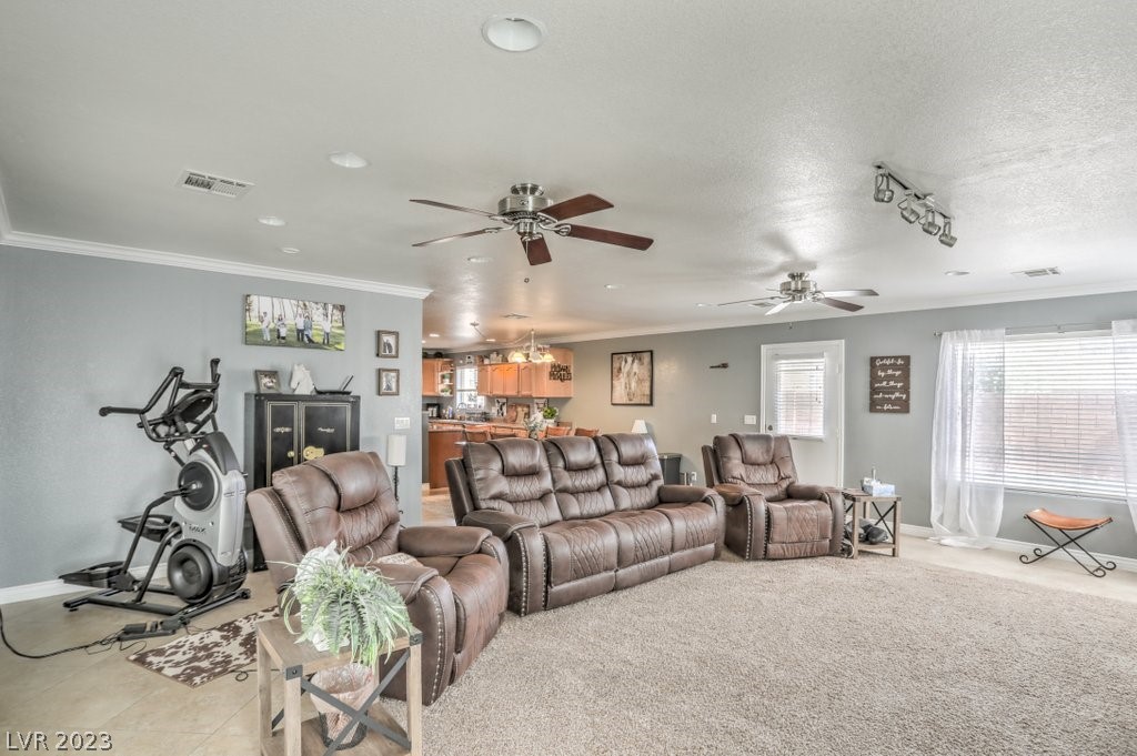 3193 Sheepskin Street