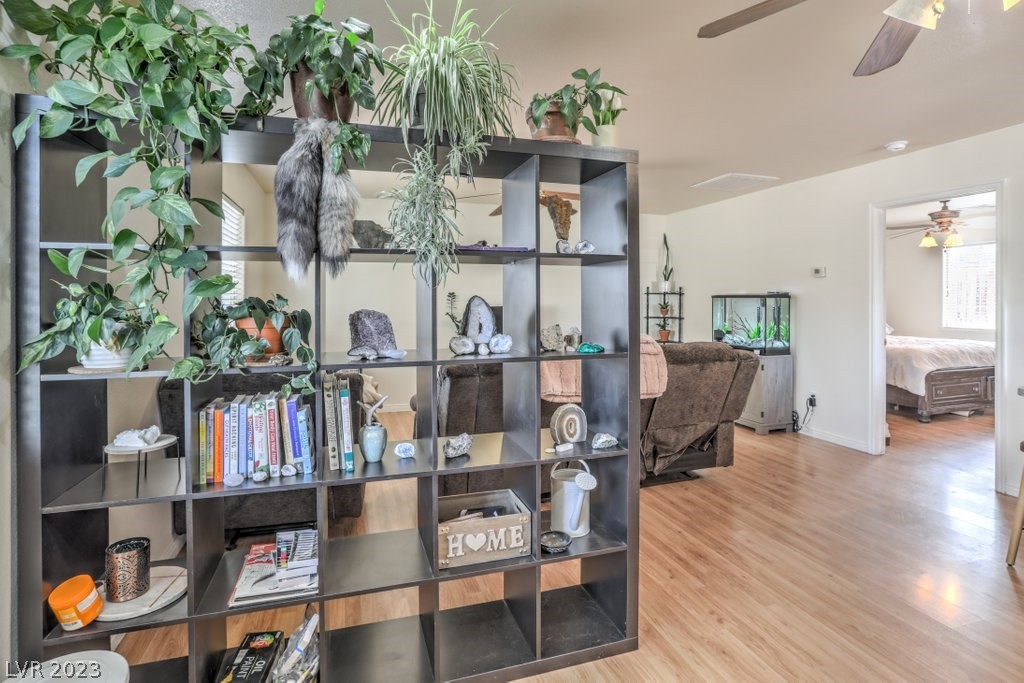 3193 Sheepskin Street