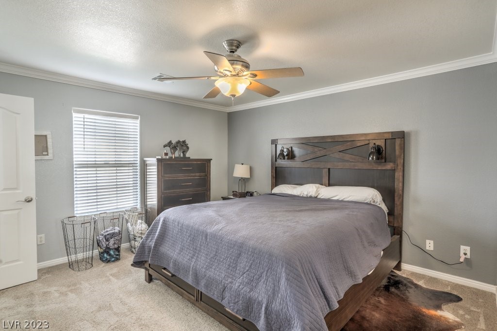 3193 Sheepskin Street