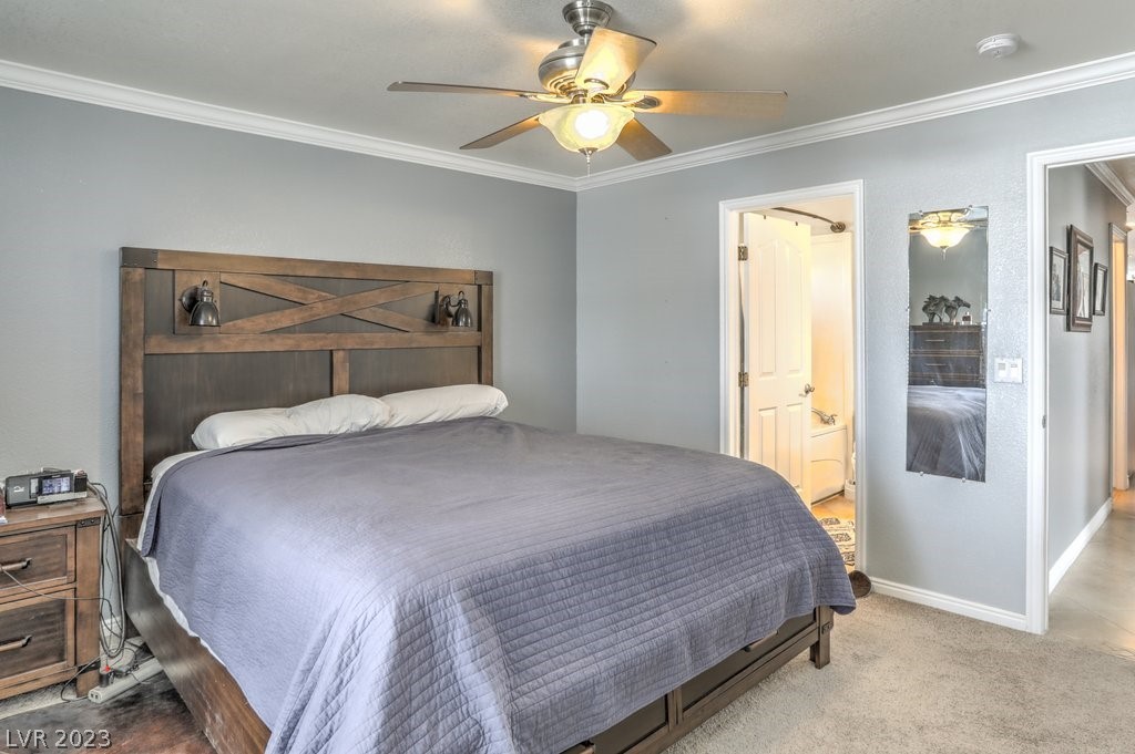 3193 Sheepskin Street