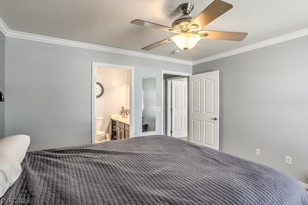 3193 Sheepskin Street