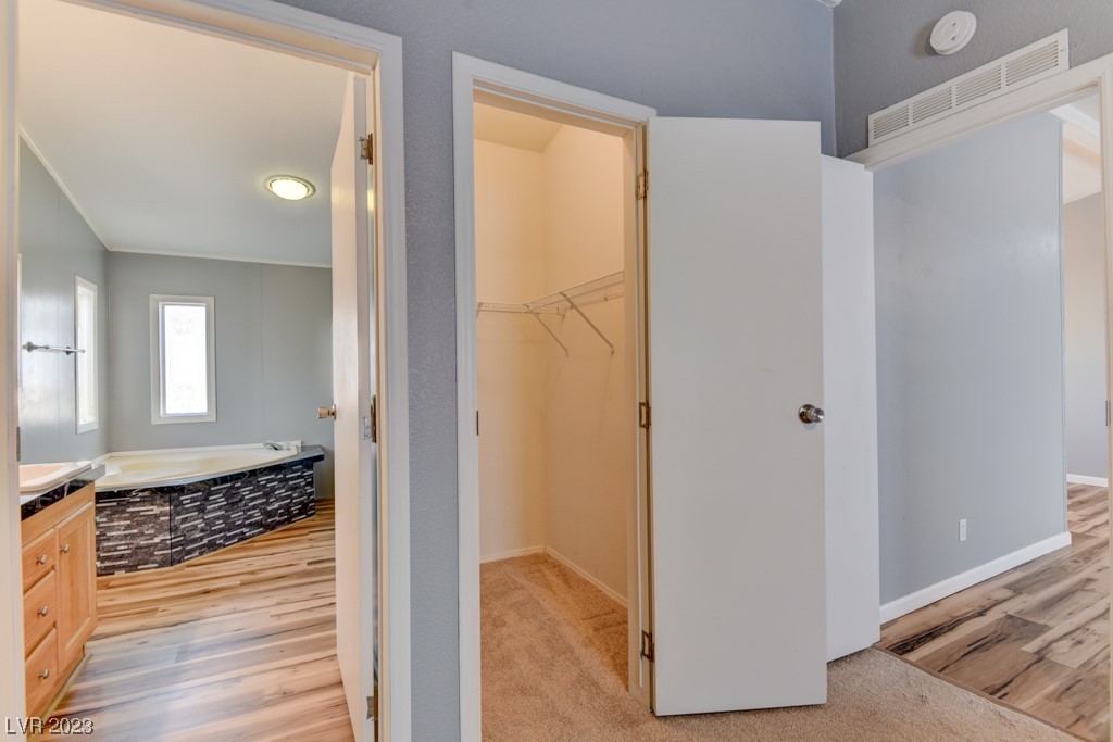 728 Mormon Peak Street