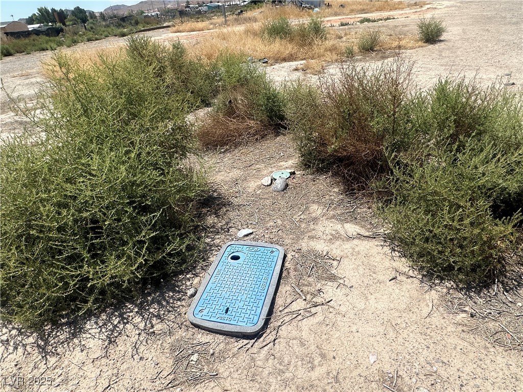 1745 East Meadow Avenue