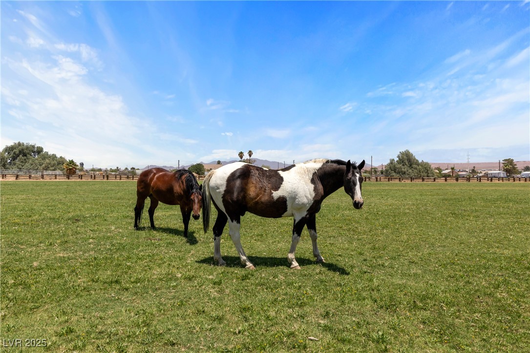 585 West Ingram Avenue