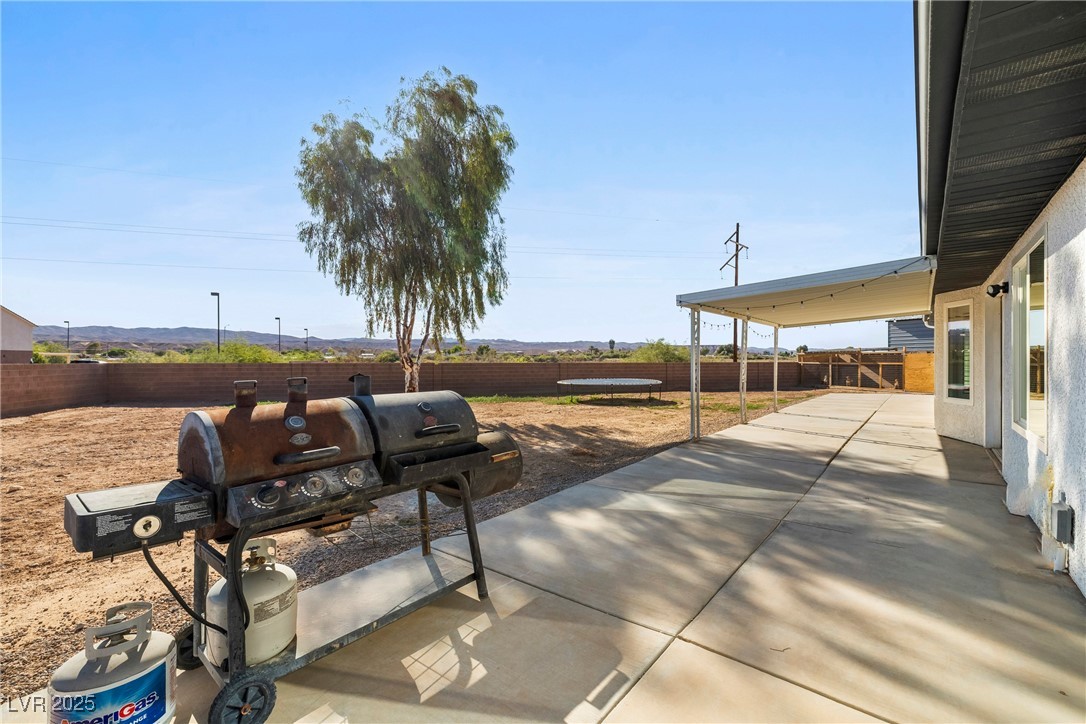 491 Muddy Peak Court