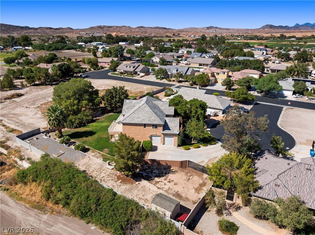 1979 Whitneys Dream Avenue