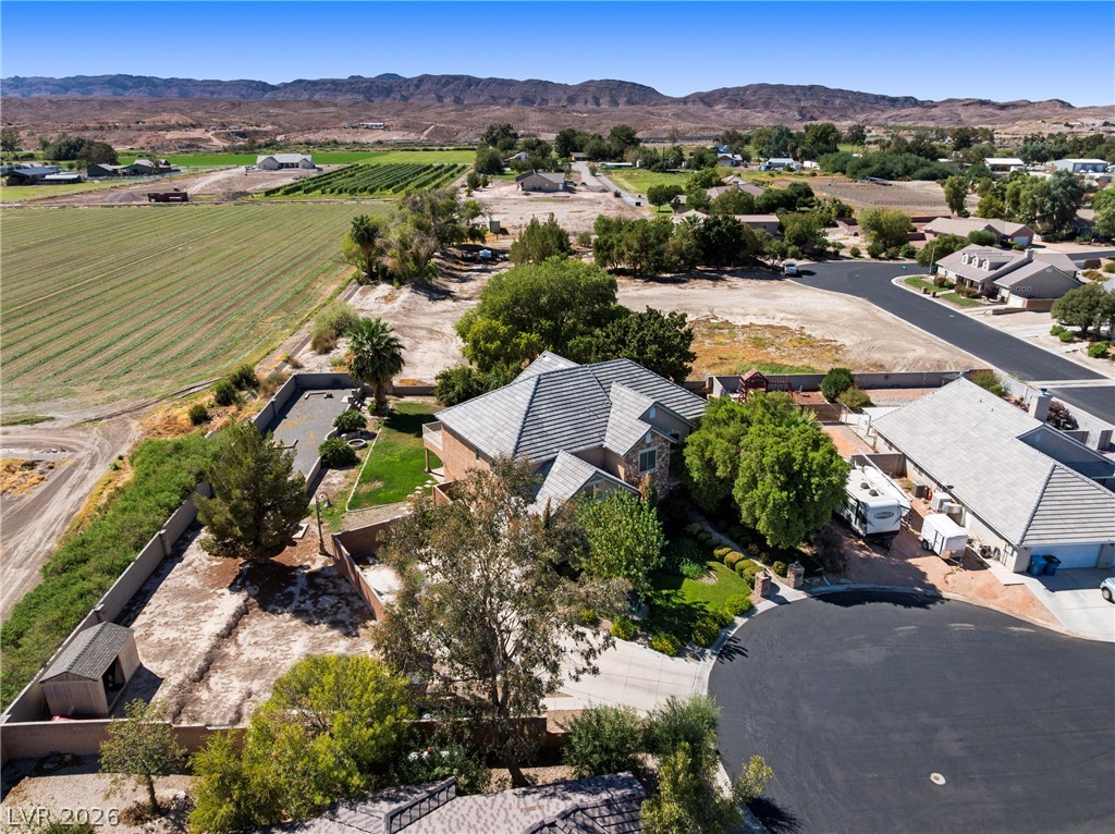 1979 Whitneys Dream Avenue