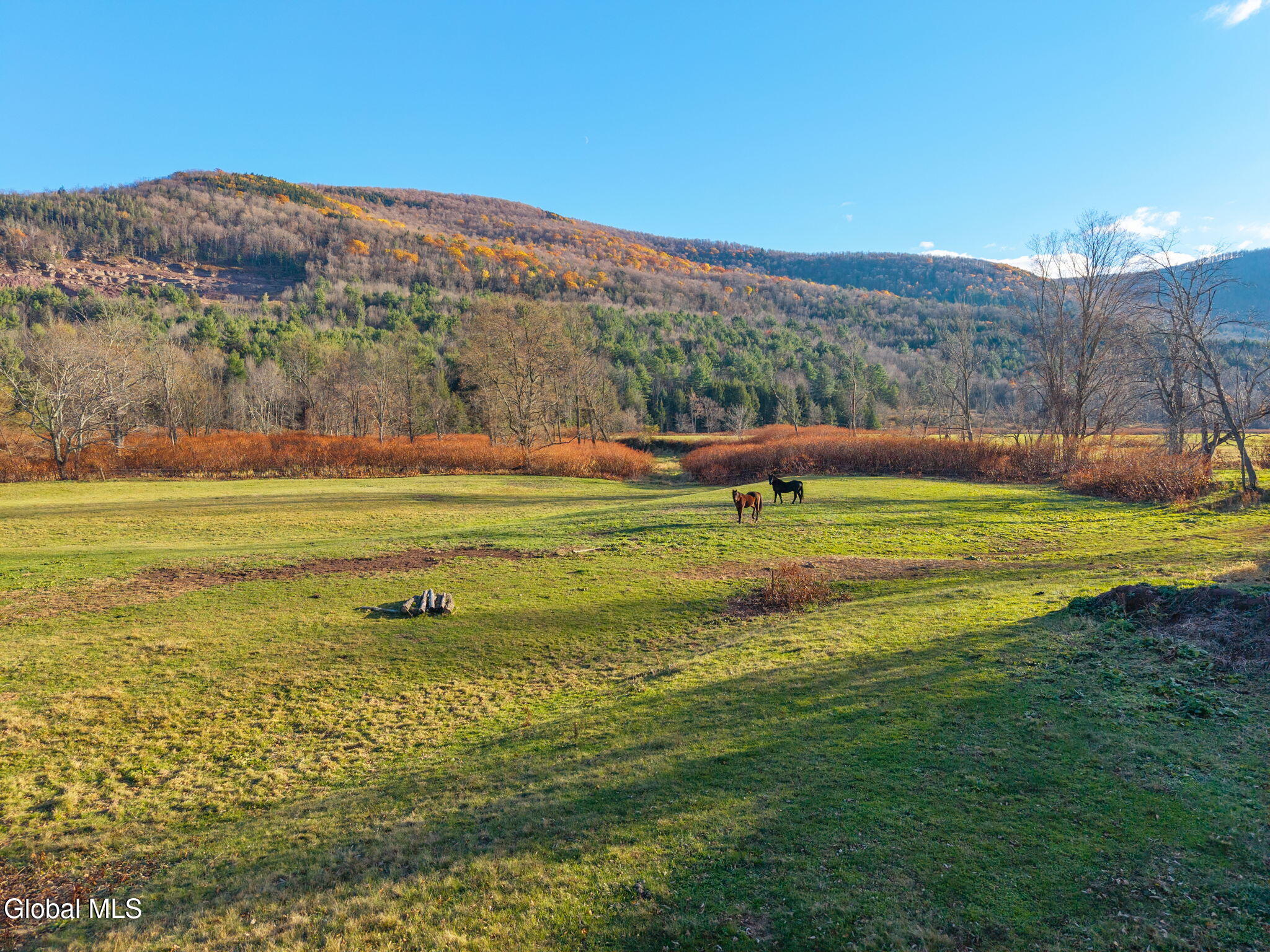 12295 State Highway 23