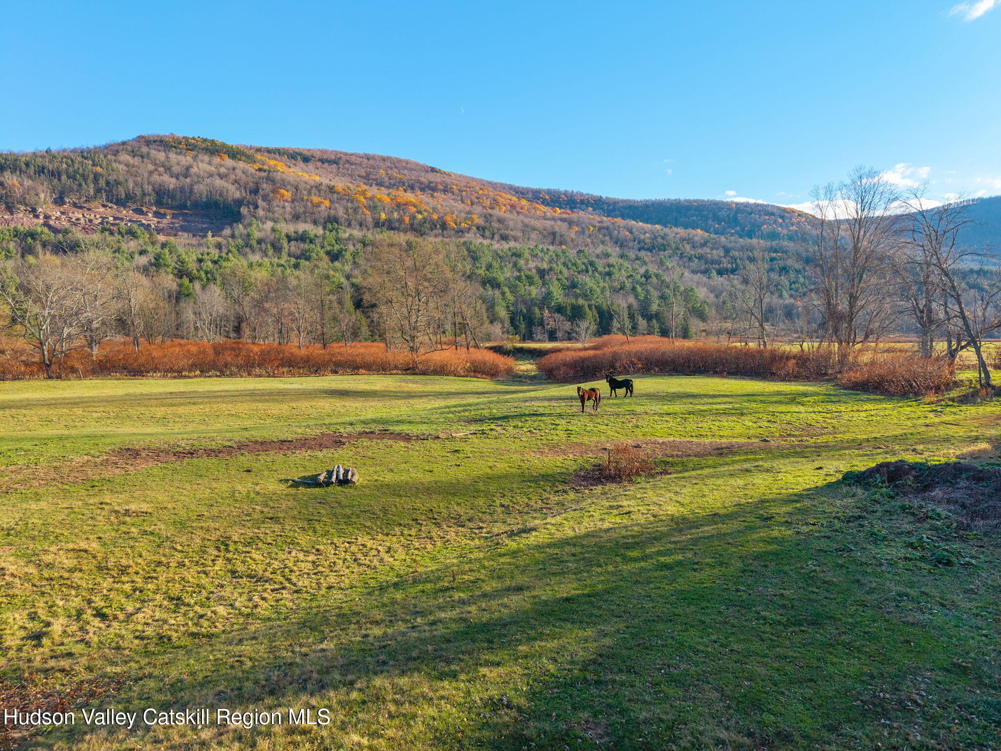 12295 State Highway 23