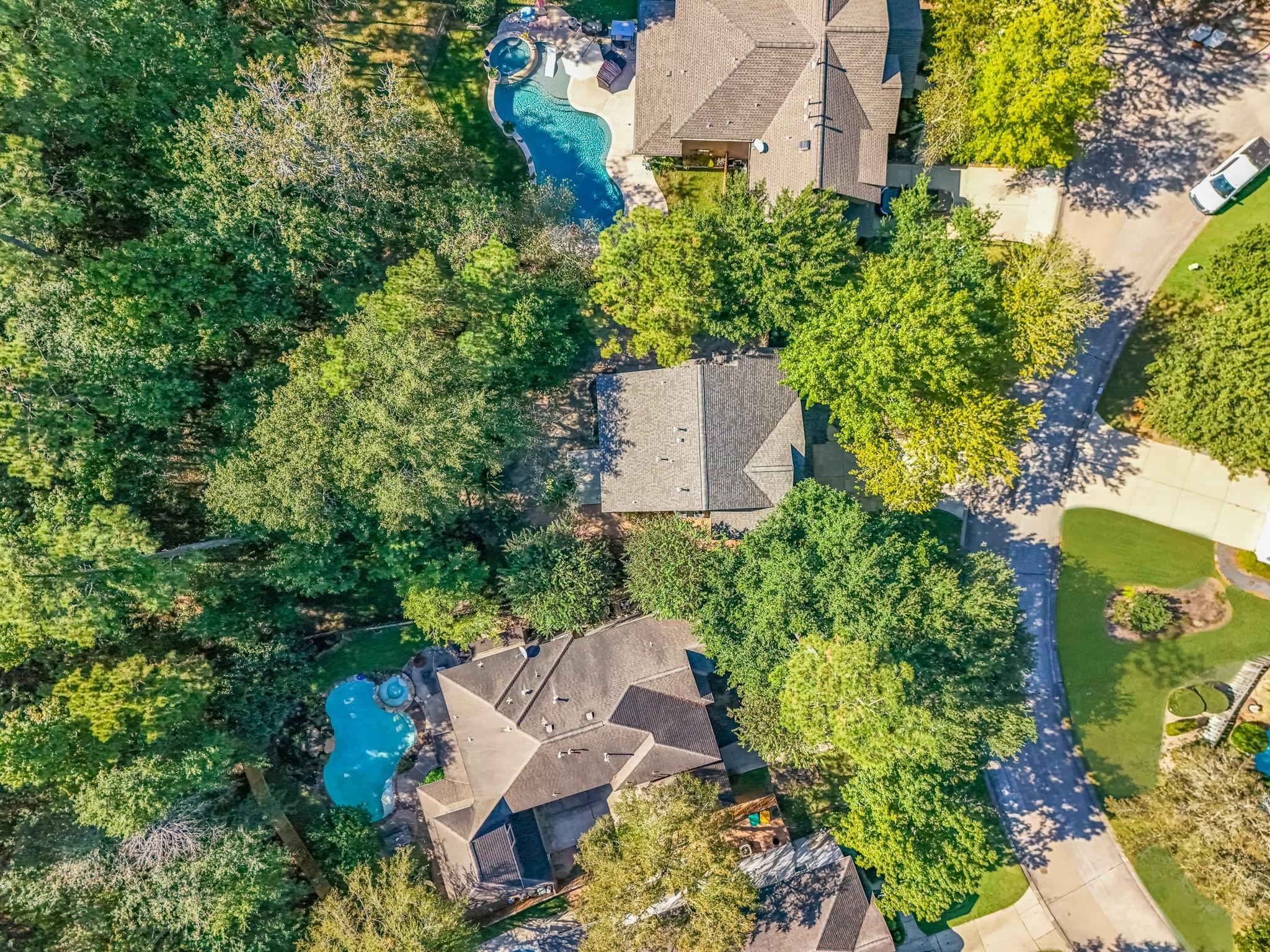 15 Forest Perch Place