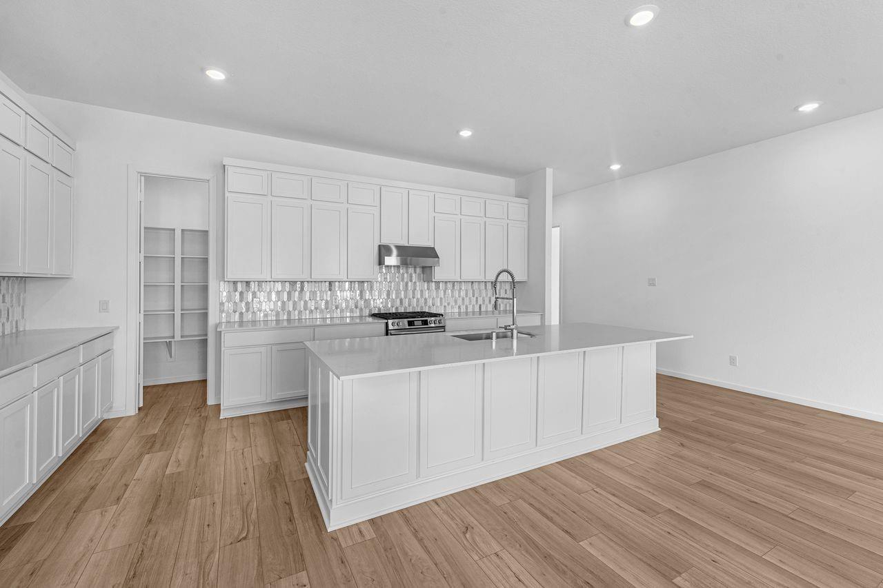 17511 Tulip Willow Way
