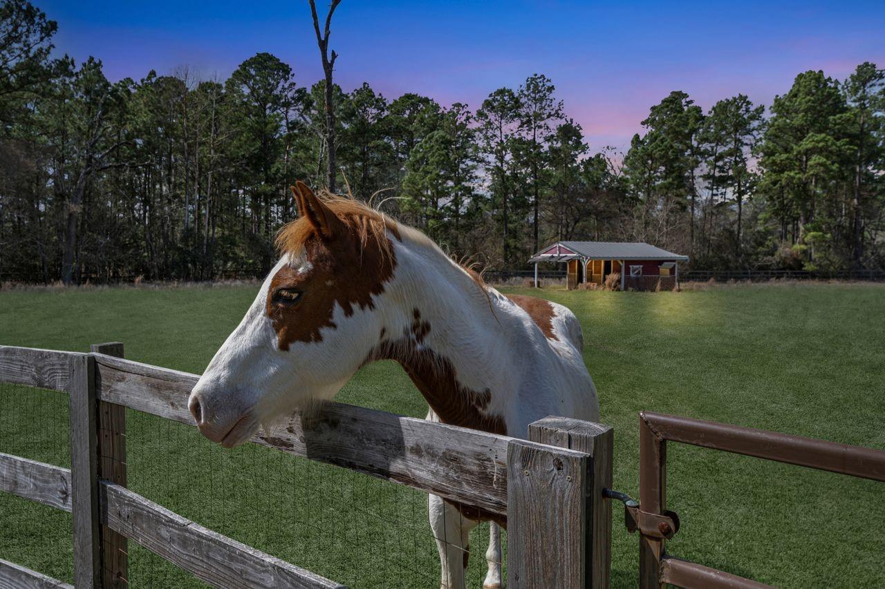 31020 N High Meadow Circle