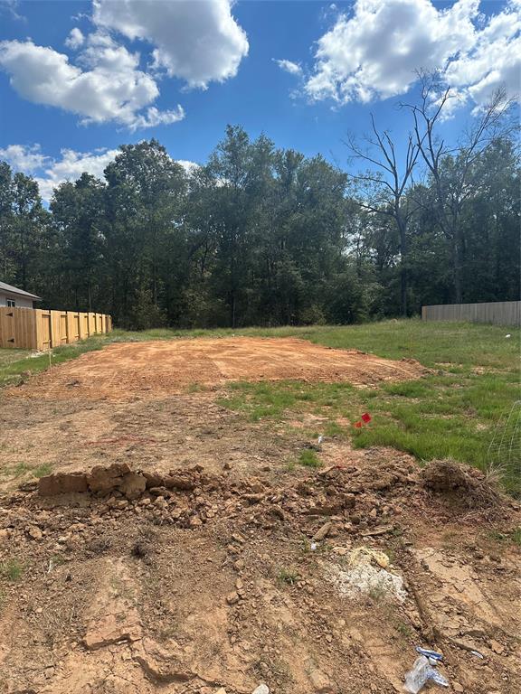 9521 Last Maples Trail