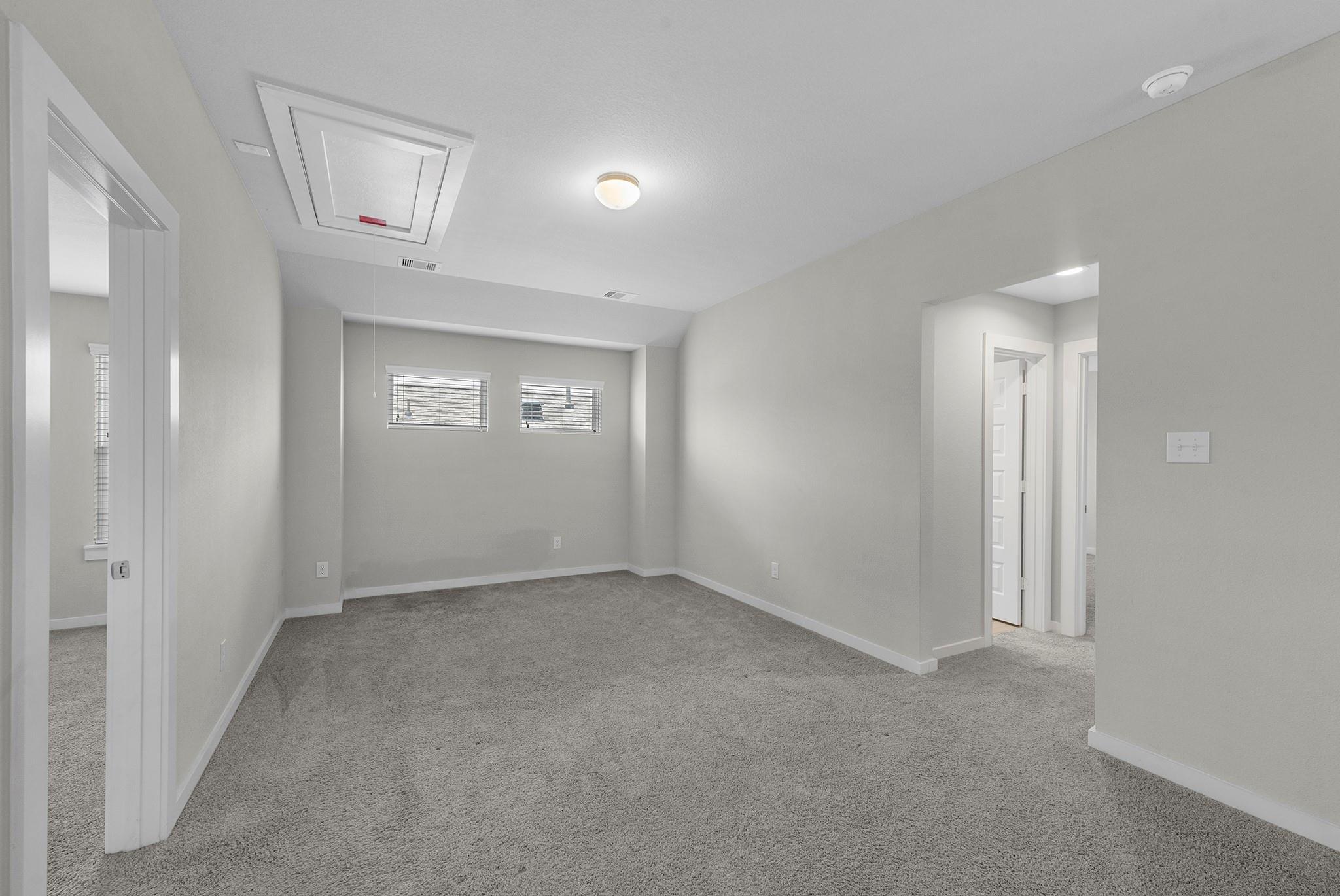 1907 Scarlet Yaupon Way