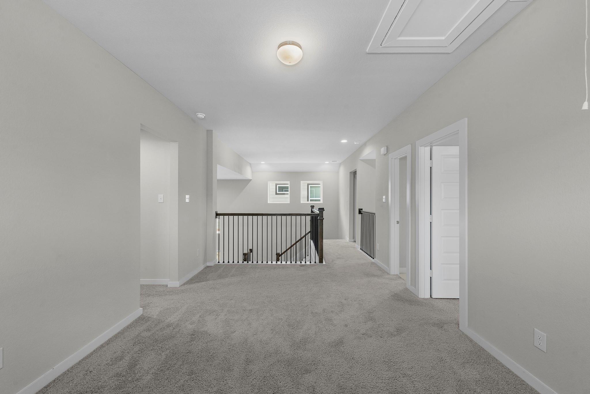 1907 Scarlet Yaupon Way